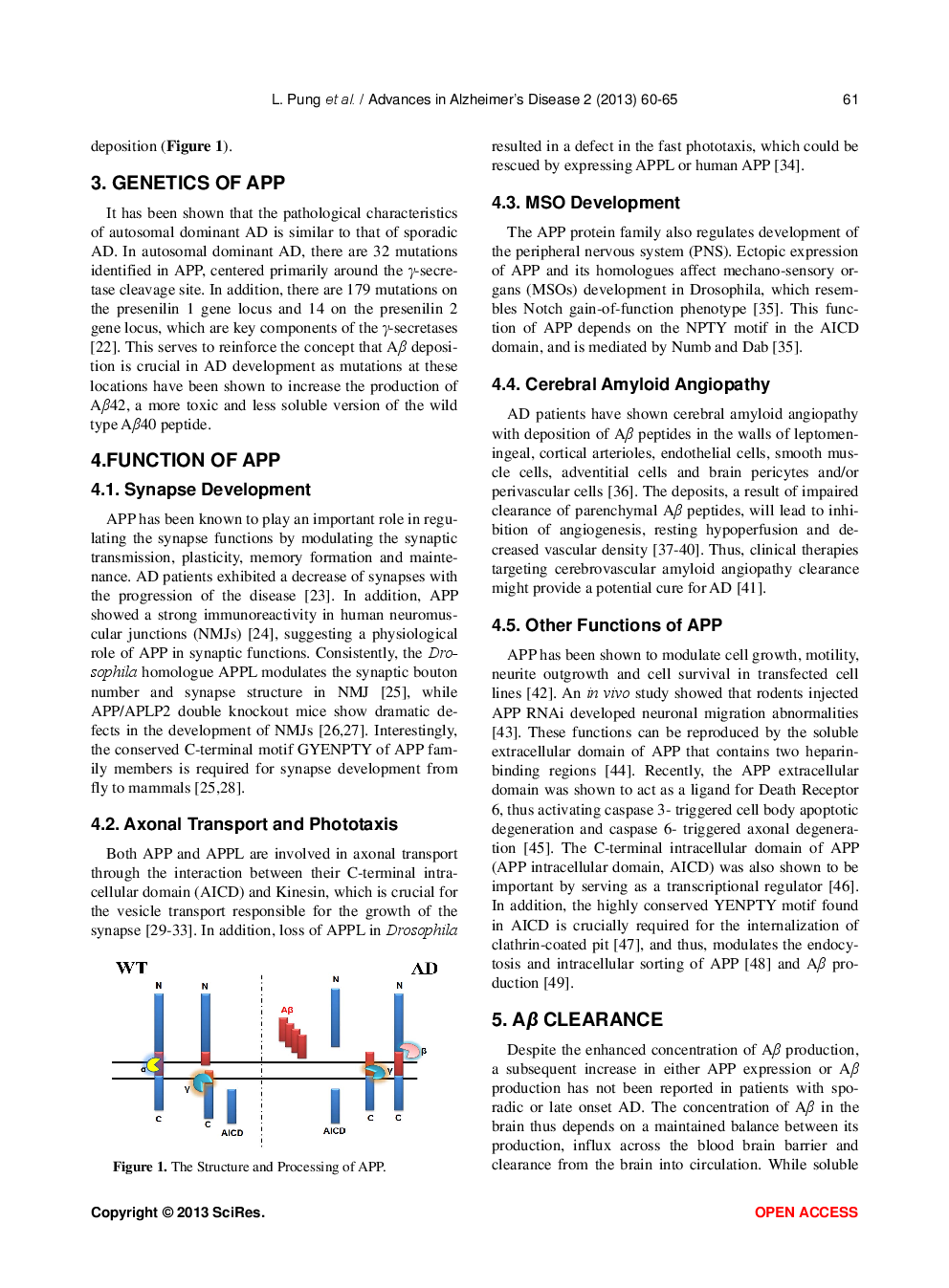 The Role Of APP In Alzheimer’s Disease - Page 3