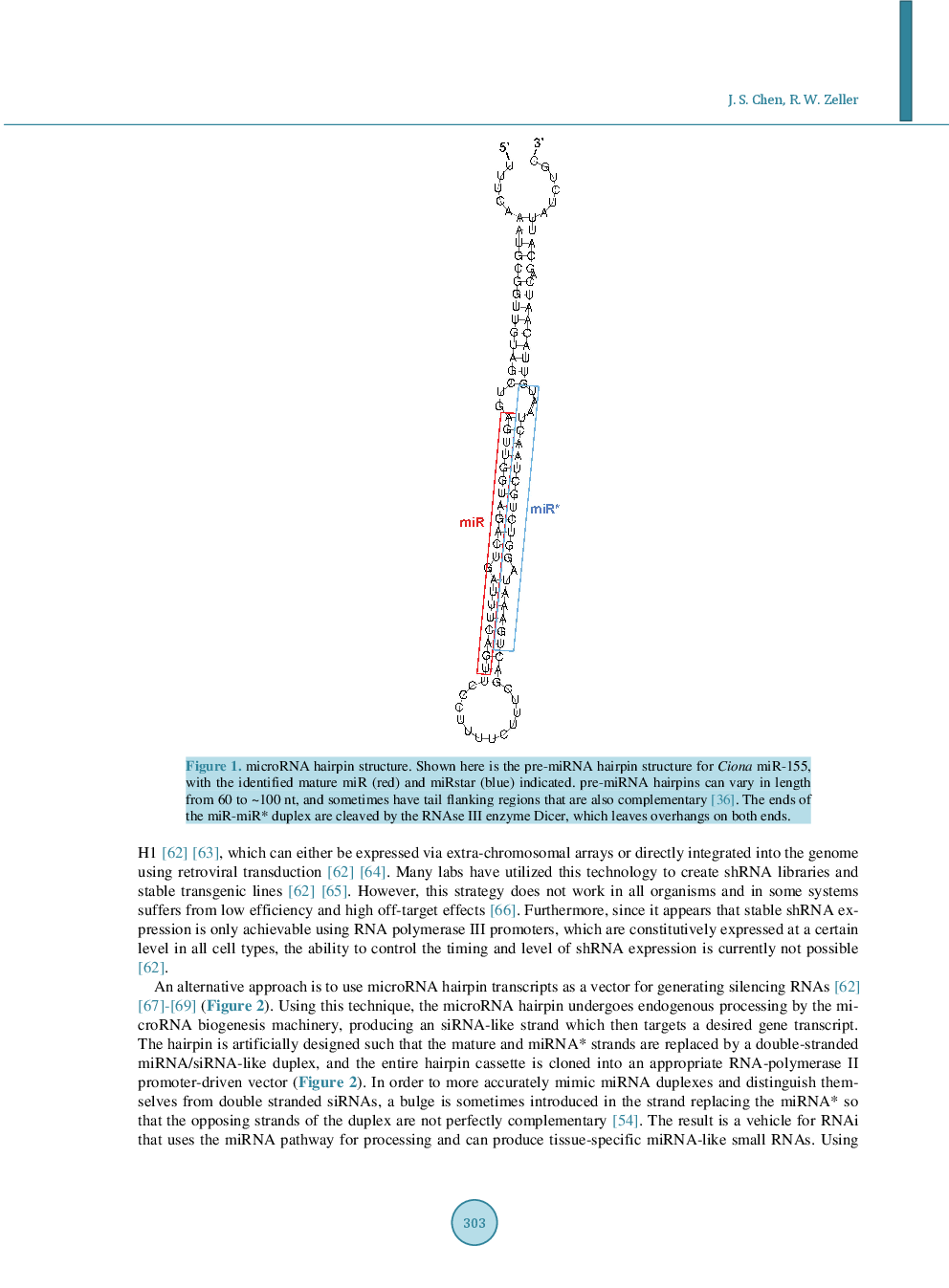 Using Engineered MicroRNAs As Vectors For Animal RNA Interference: Promises And Challenges - Page 4