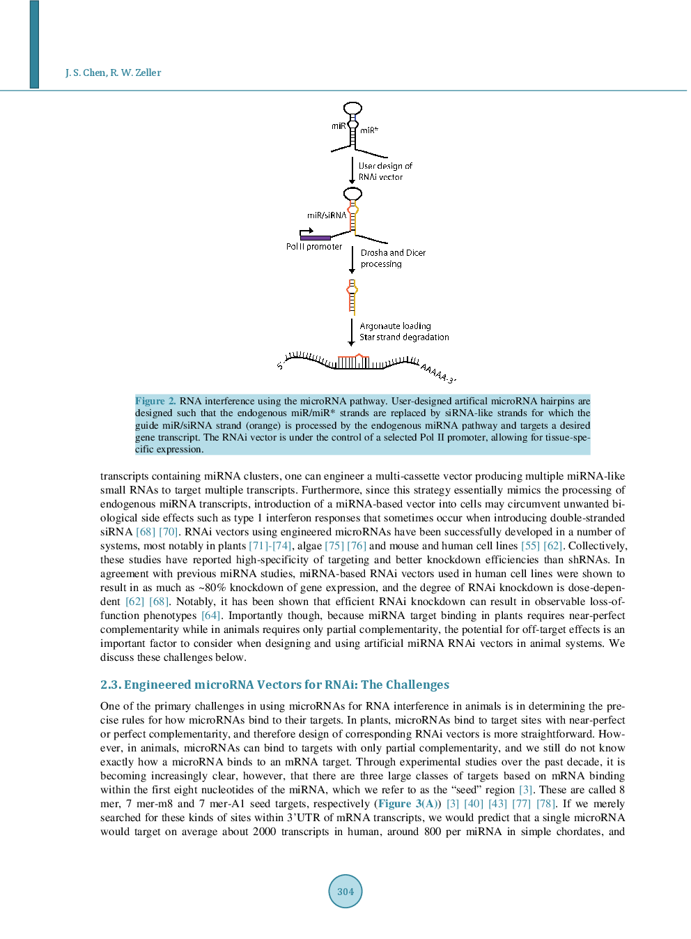 Using Engineered MicroRNAs As Vectors For Animal RNA Interference: Promises And Challenges - Page 5