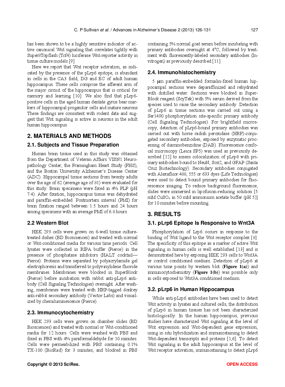 Phosphorylated Low-Density Lipoprotein Receptor-Related Protein 6 Is Prevalent In Hippocampal Progenitor Cells And Circuits  Of Aged Human Hippocampus - Page 3