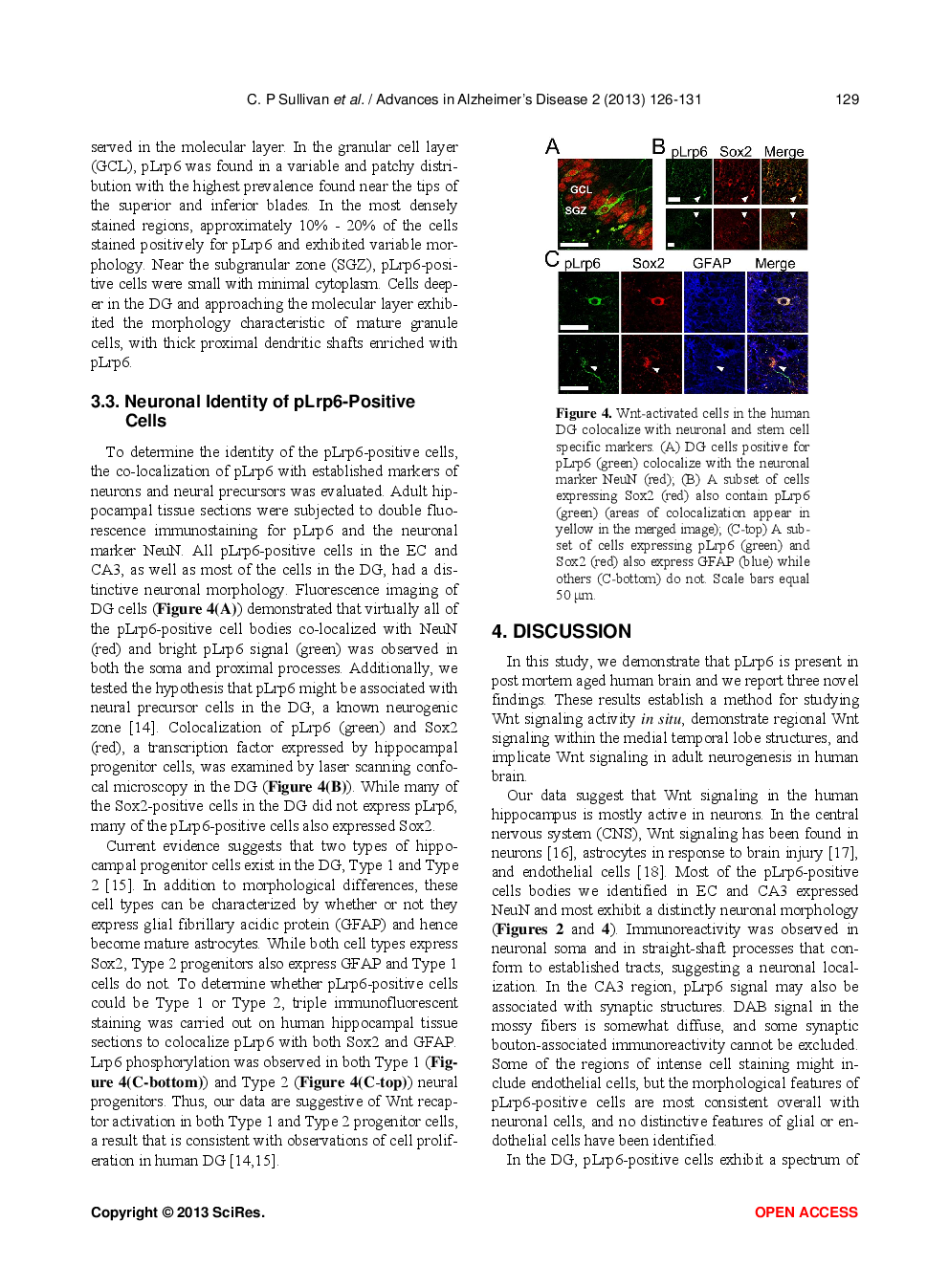 Phosphorylated Low-Density Lipoprotein Receptor-Related Protein 6 Is Prevalent In Hippocampal Progenitor Cells And Circuits  Of Aged Human Hippocampus - Page 5