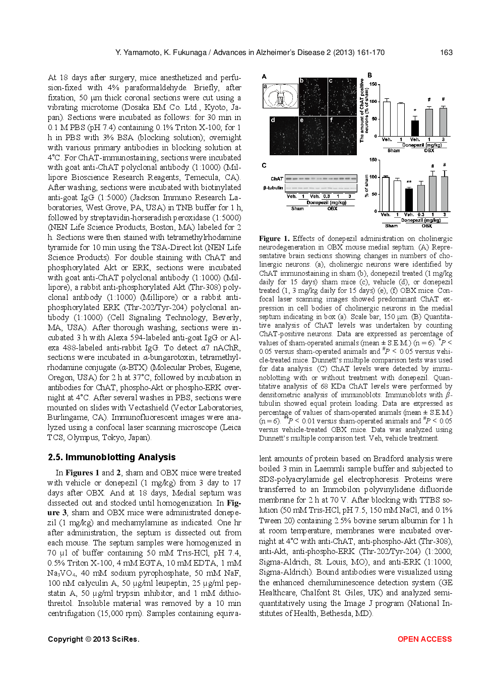 Donepezil Rescues The Medical Septum Cholinergic Neurons Via Nicotinic ACh Receptor Stimulation In Olfactory Bulbectomized Mice - Page 4