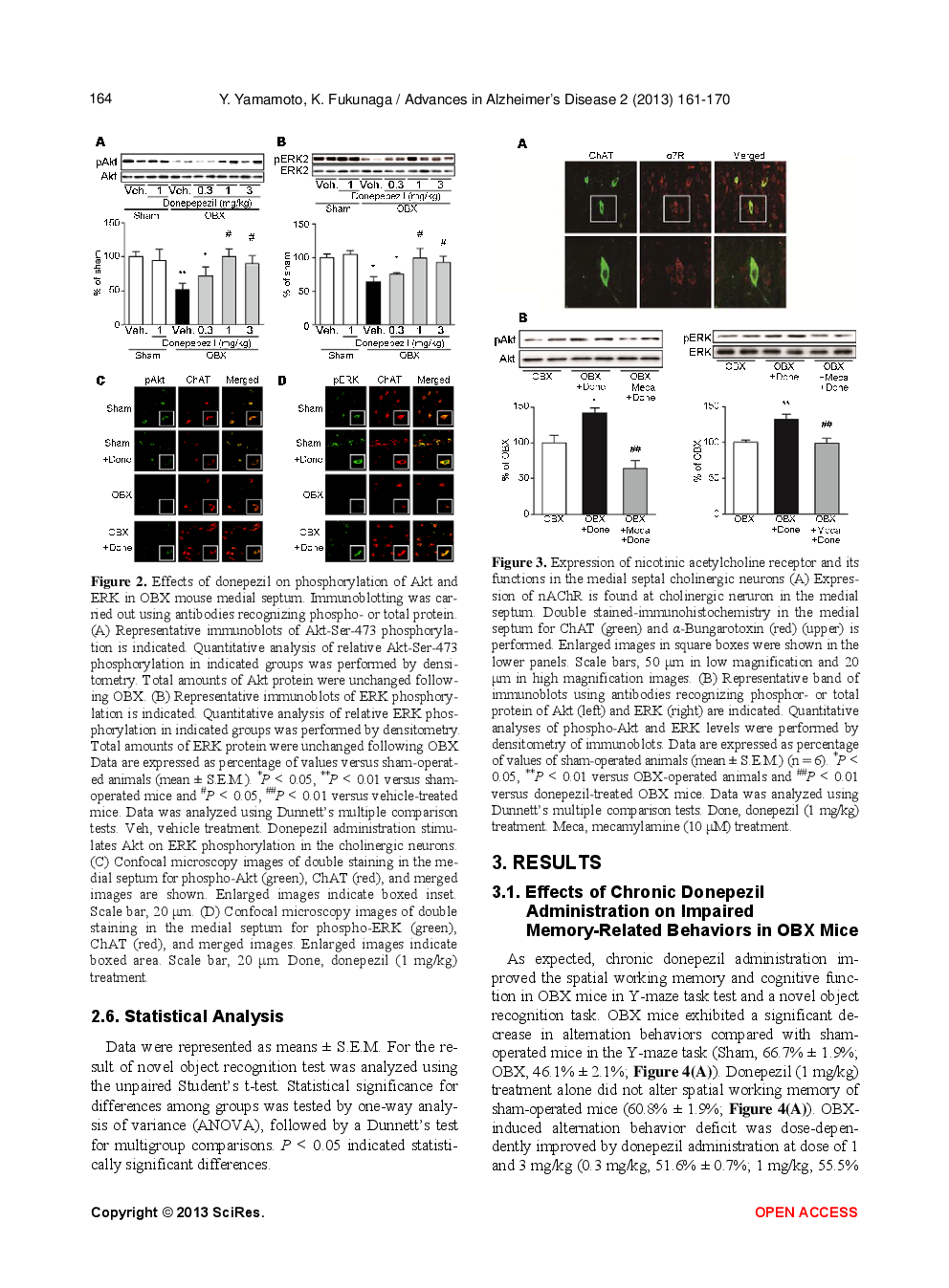 Donepezil Rescues The Medical Septum Cholinergic Neurons Via Nicotinic ACh Receptor Stimulation In Olfactory Bulbectomized Mice - Page 5