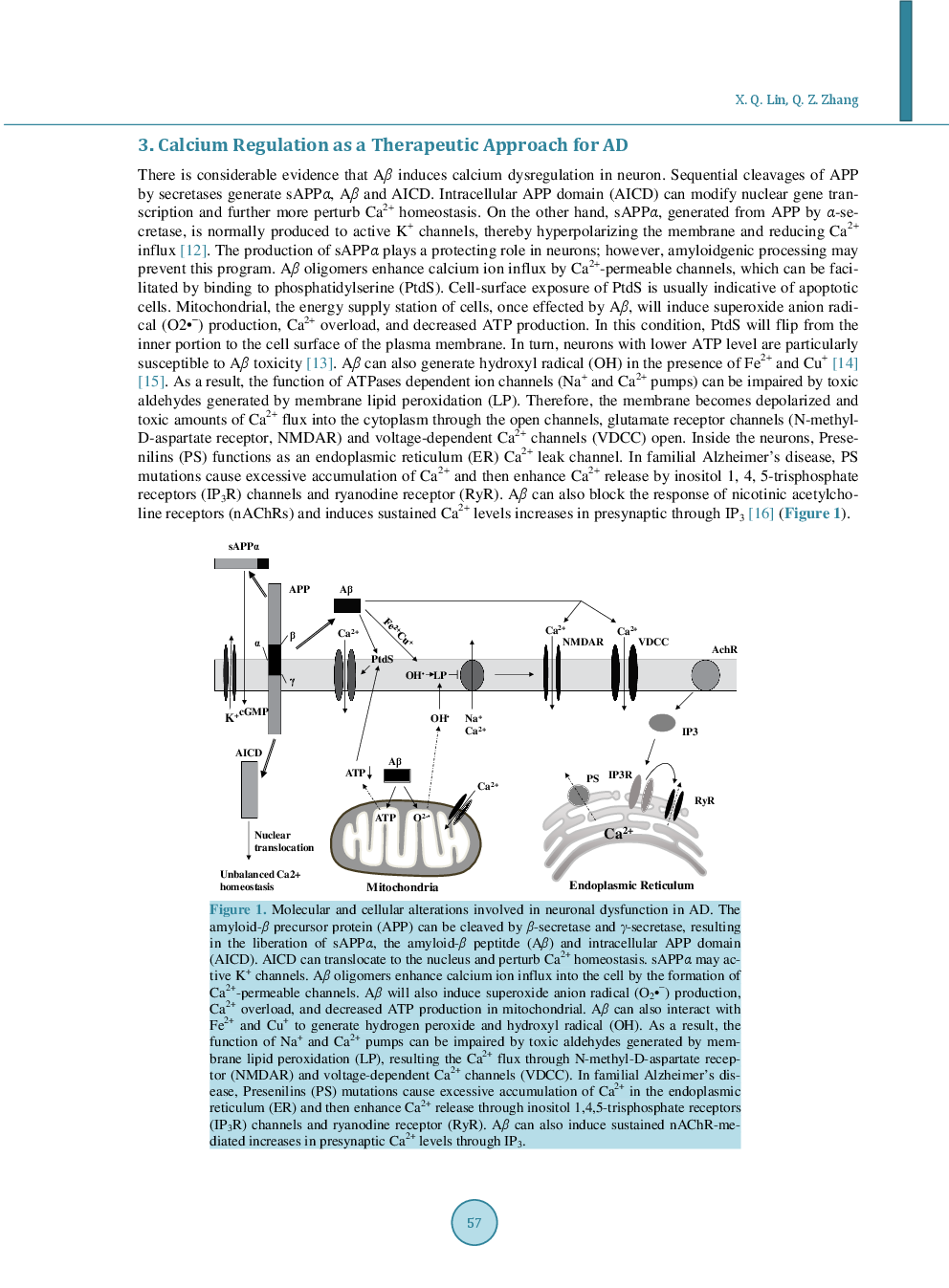 The Drug Development Based On Pathogenetic Research In Alzheimer’s Disease - Page 4
