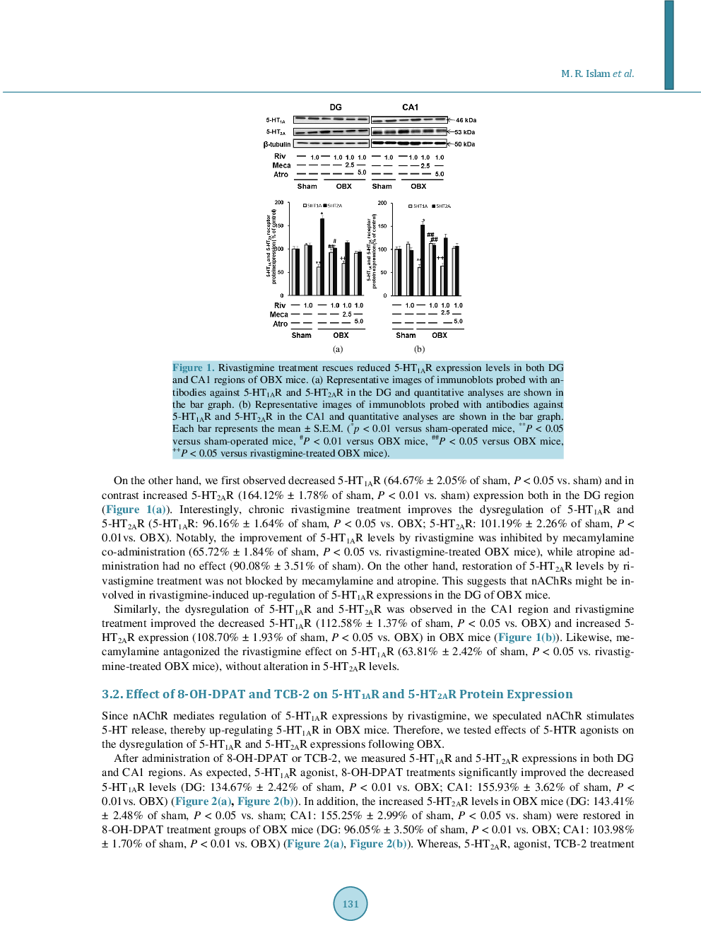Rivastigmine Restores 5-HT1A Receptor Levels In The Hippocampus Of Olfactory Bulbectomized Mice - Page 5