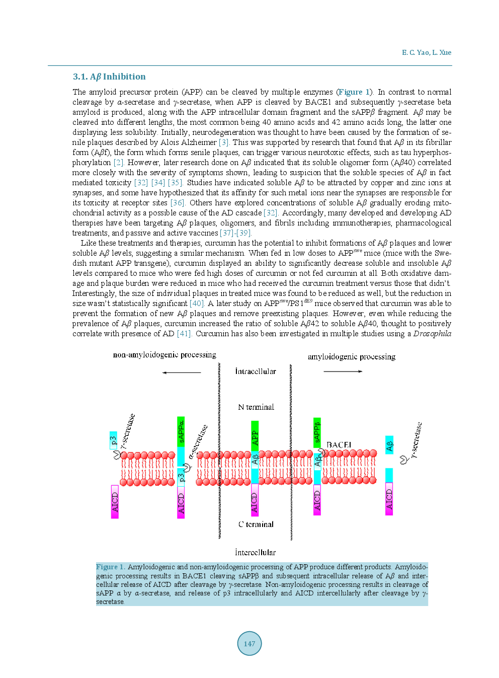 Therapeutic Effects Of Curcumin On Alzheimer’s Disease - Page 4
