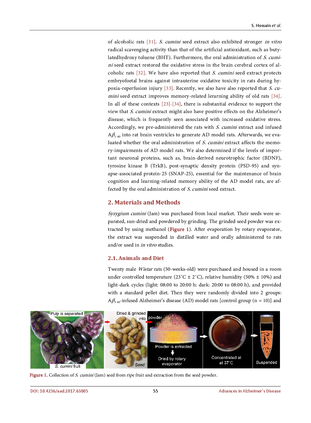 Effects Of Syzygium Cumini Seed Extract On The Memory Loss Of Alzheimer’s Disease Model Rats - Page 4