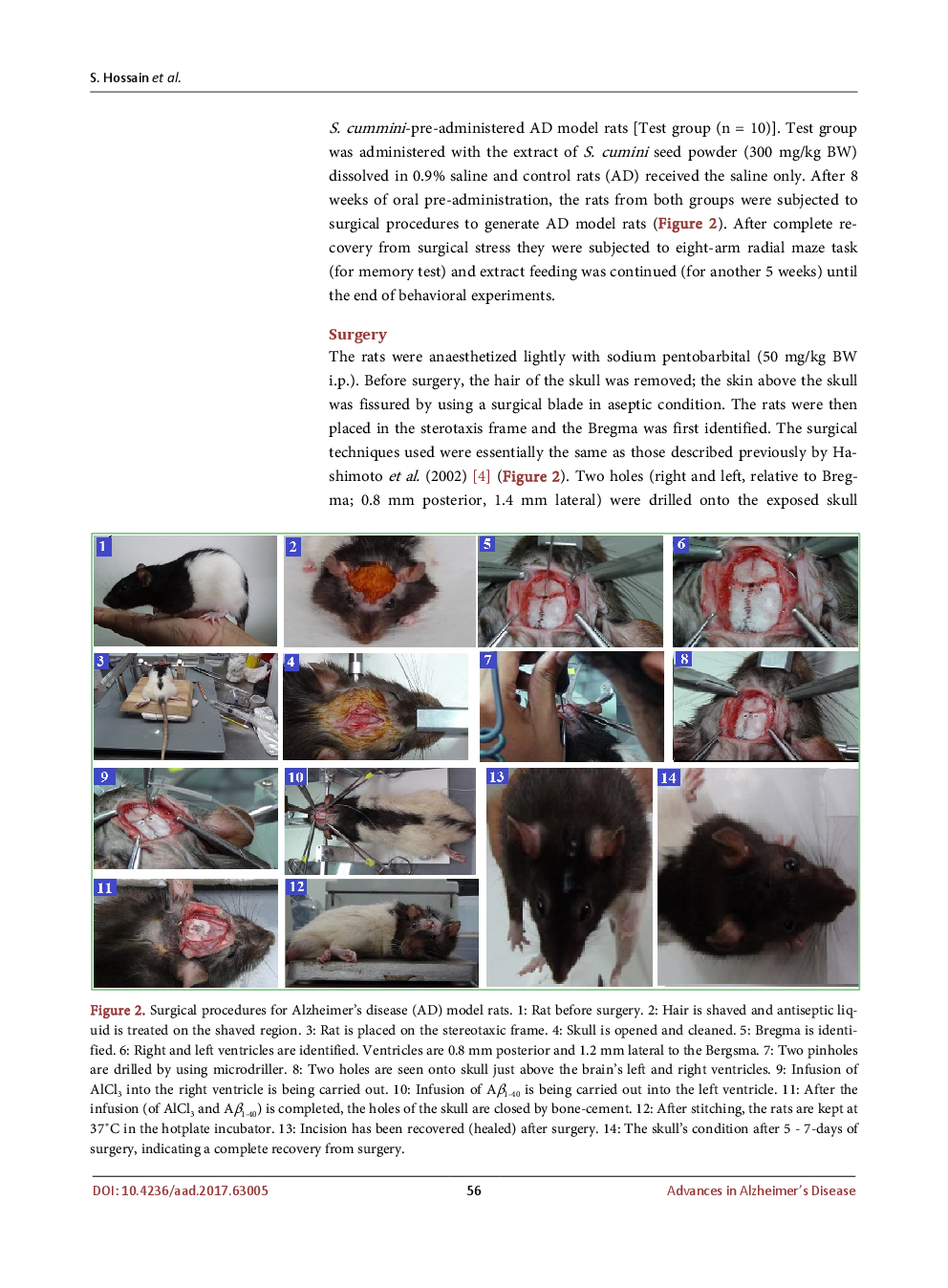 Effects Of Syzygium Cumini Seed Extract On The Memory Loss Of Alzheimer’s Disease Model Rats - Page 5