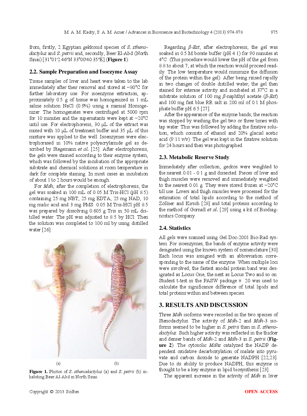 Biochemical Variability Between Two Egyptian Stenodactylus Species (Reptilia: Gekkonidae) Inhabiting North Sinai - Page 3