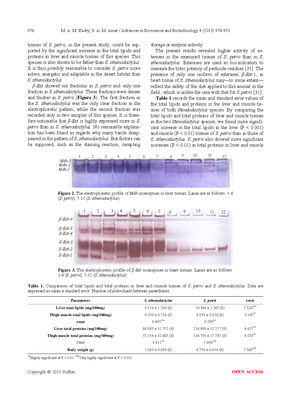 Biochemical Variability Between Two Egyptian Stenodactylus Species (Reptilia: Gekkonidae) Inhabiting North Sinai - Page 4