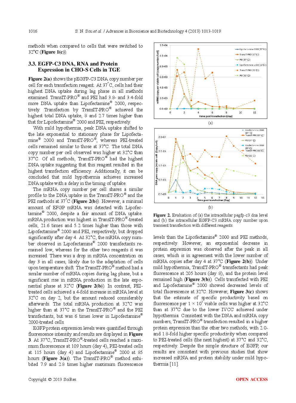 Evaluation Of Transfection Methods For Transient Gene Expression In Chinese Hamster Ovary Cells - Page 5