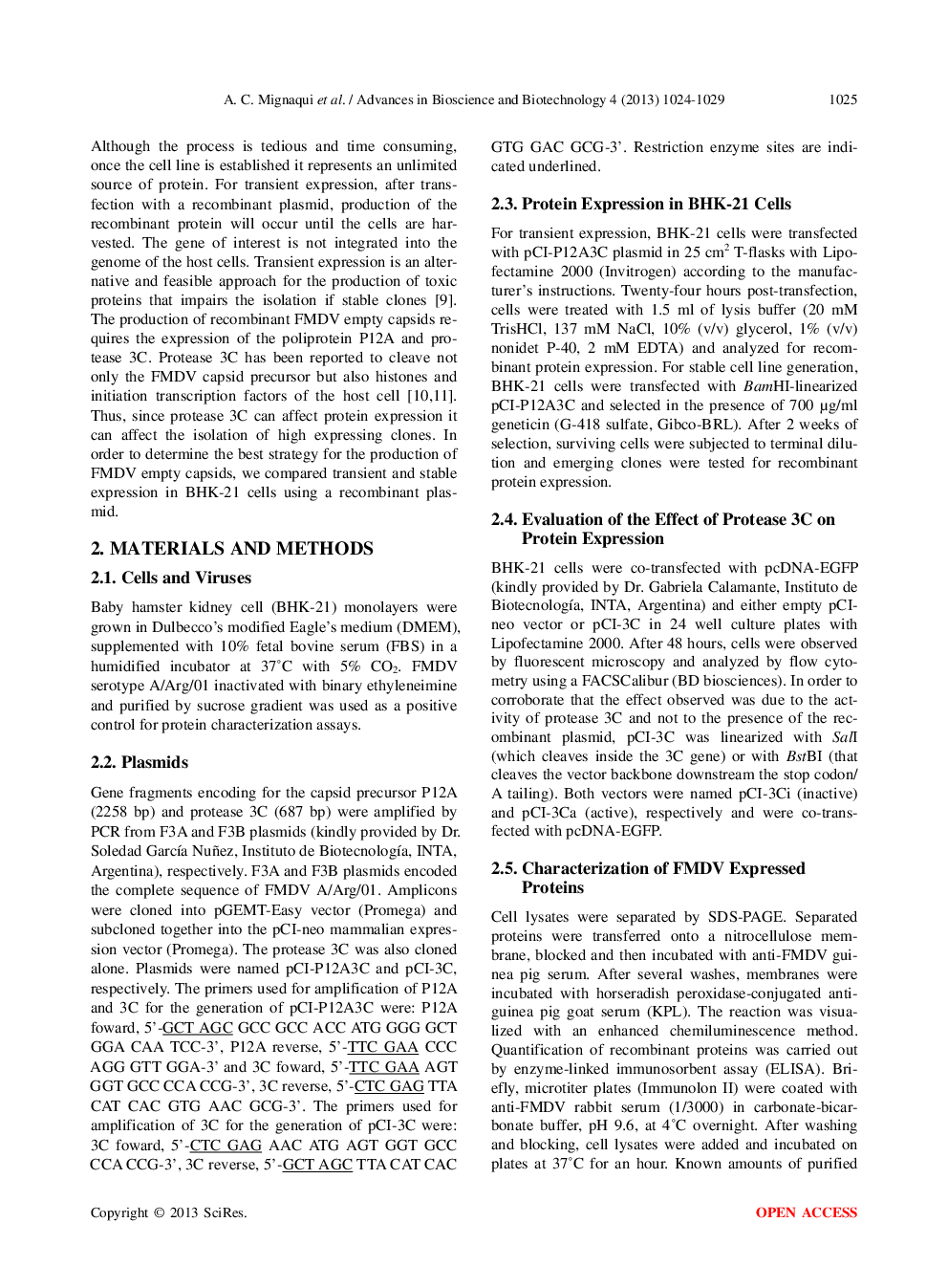 Comparison Of Transient And Stable Expression Of Foot-And-Mouth Disease Virus Capsid Proteins In Mammalian Cells - Page 3