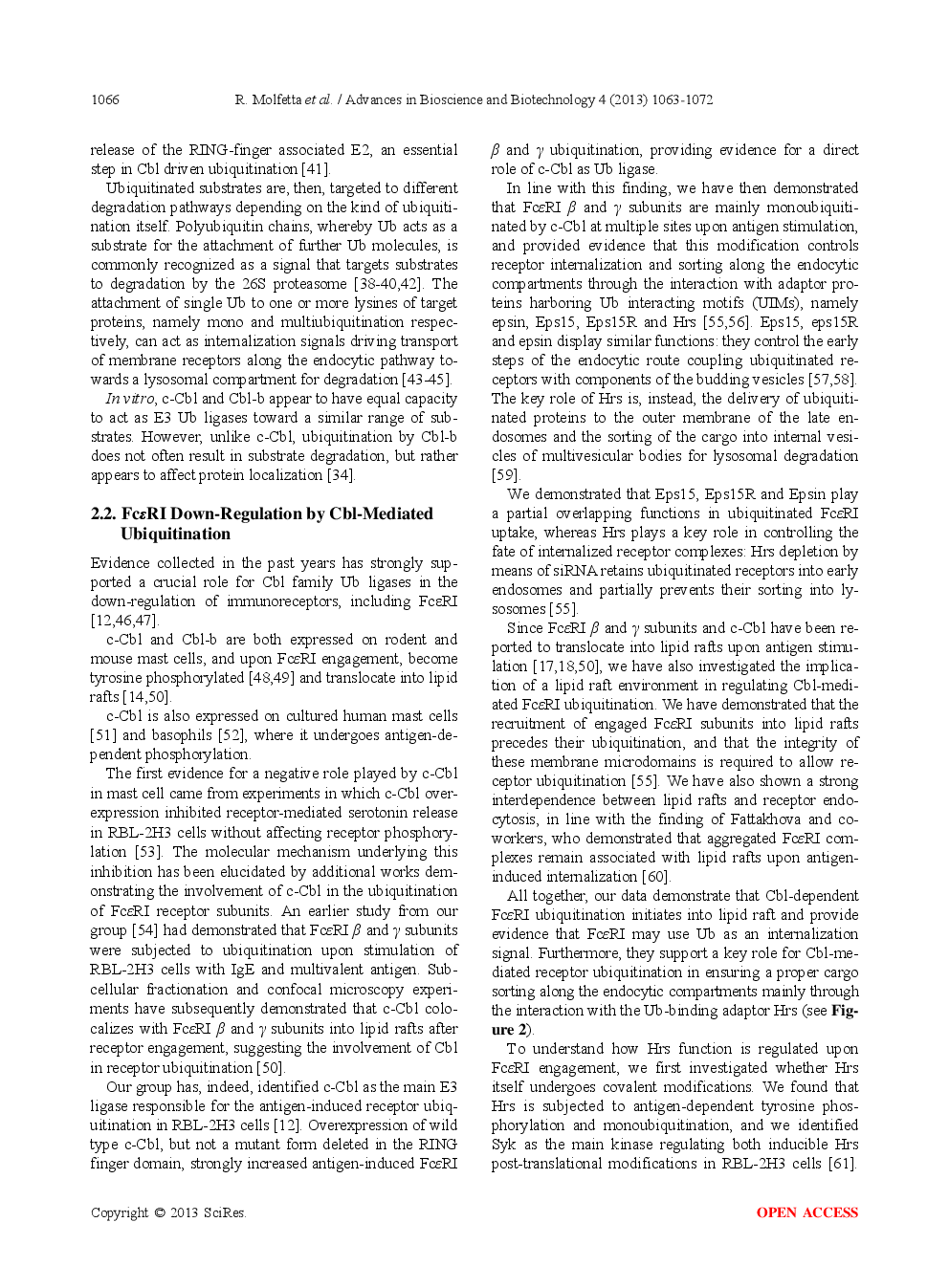 The Cbl Family Of Ubiquitin Ligases Regulates FcεRI Expression And Mast Cell Activation - Page 5