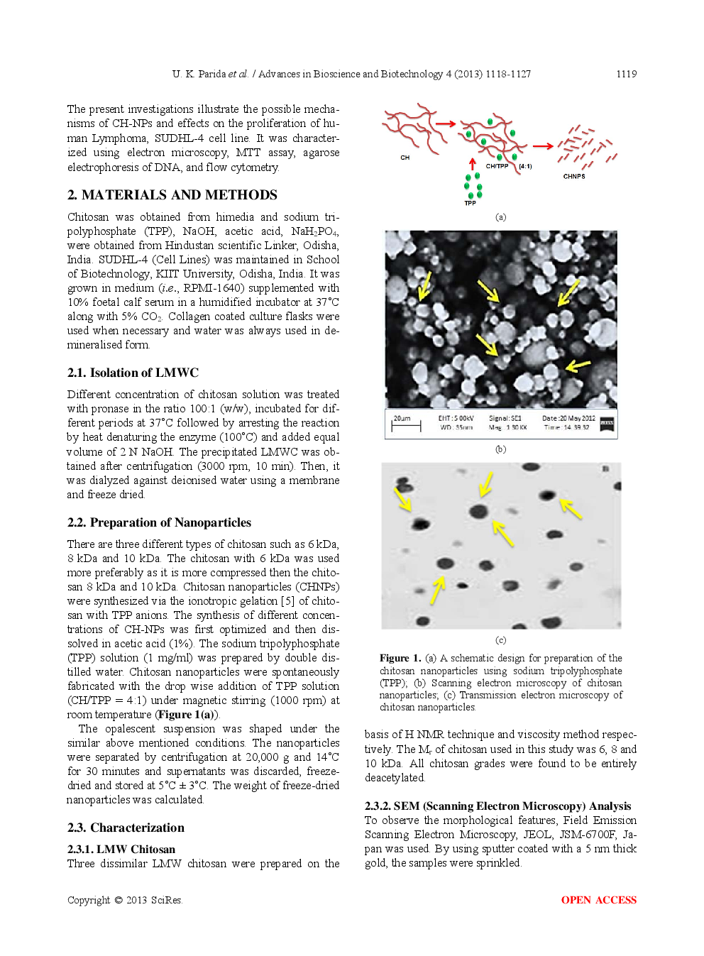 In Vitro Properties Of Chitosan Nanoparticles Induce Apoptosis In Human Lymphoma SUDHL-4 Cell Line - Page 3