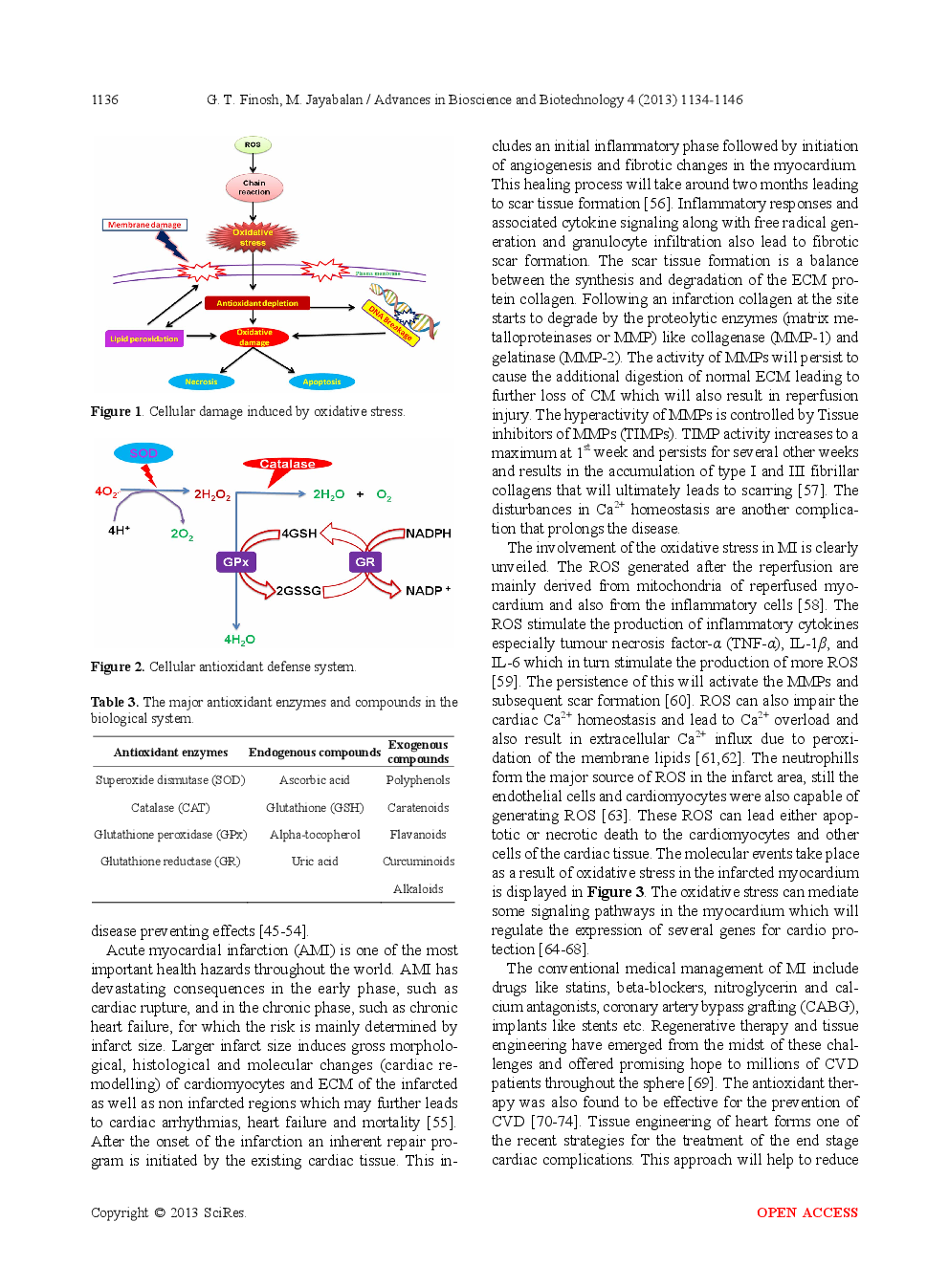 Reactive Oxygen Species—Control And Management Using Amphiphilic Biosynthetic Hydrogels For Cardiac Applications - Page 4
