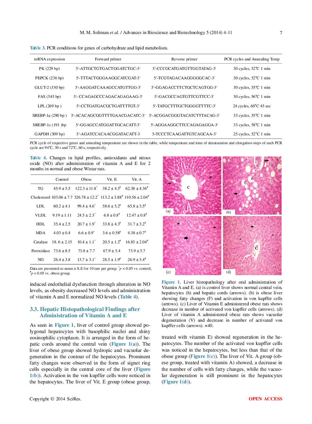 Effect Of Vitamin A And E On Carbohydrate And Lipid Metabolism In Diet-Induced Obese Wistar Rats - Page 5