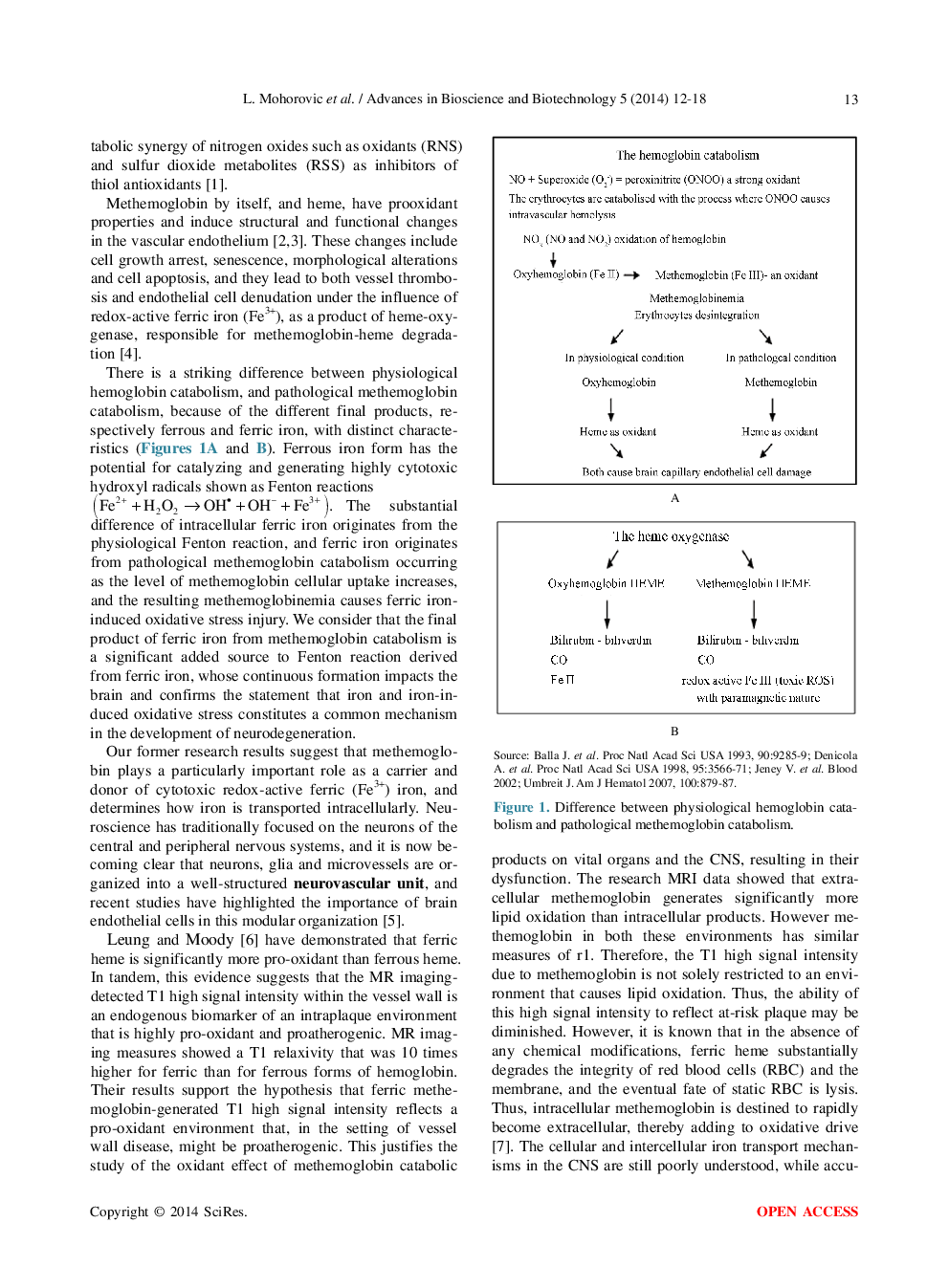 Methemoglobinemia—A Biomarker And A Link To Ferric Iron Accumulation In Alzheimer’s Disease - Page 3