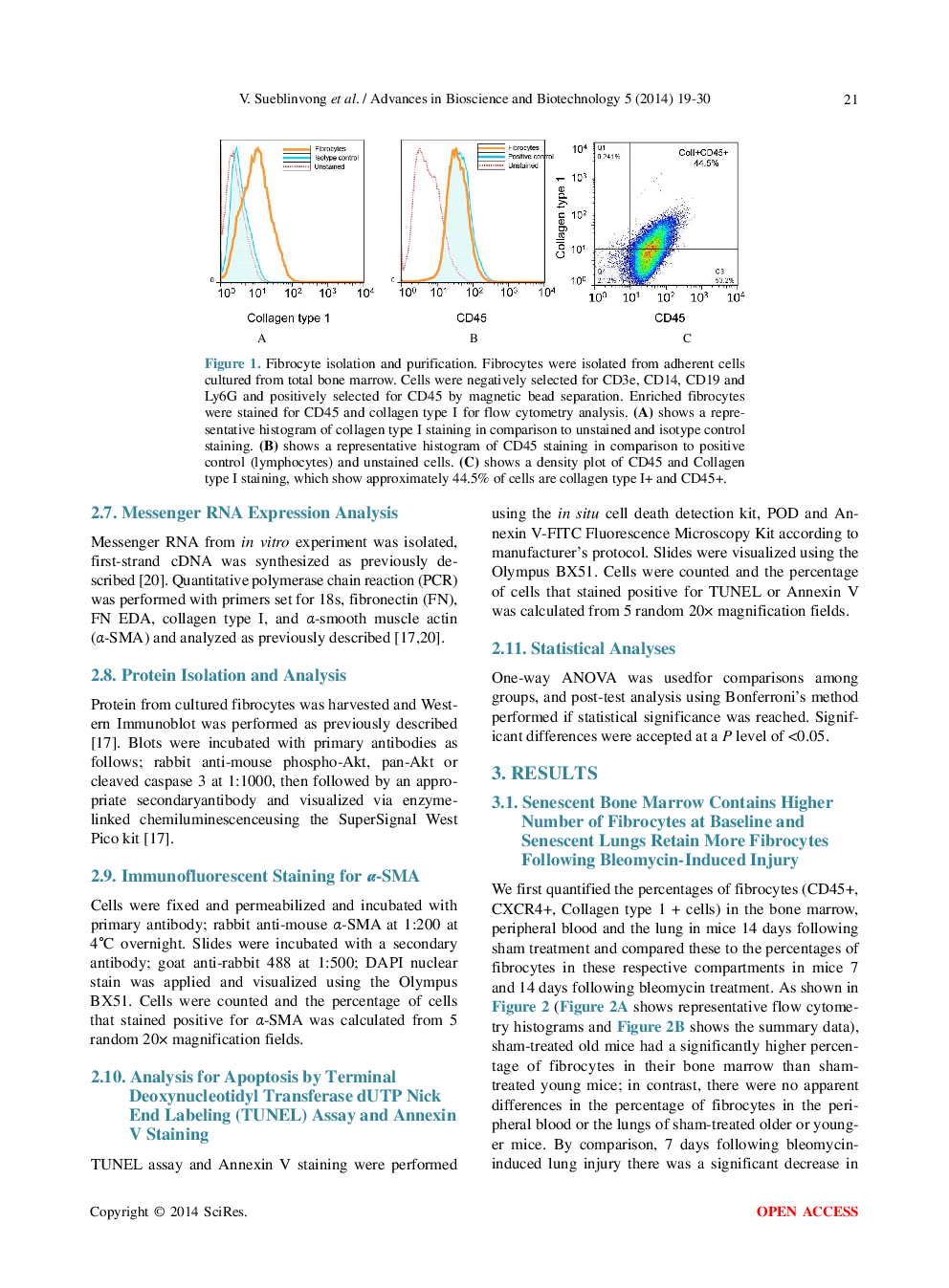 Aging Promotes Pro-Fibrotic Matrix Production And Increases Fibrocyte Recruitment During Acute Lung Injury - Page 4