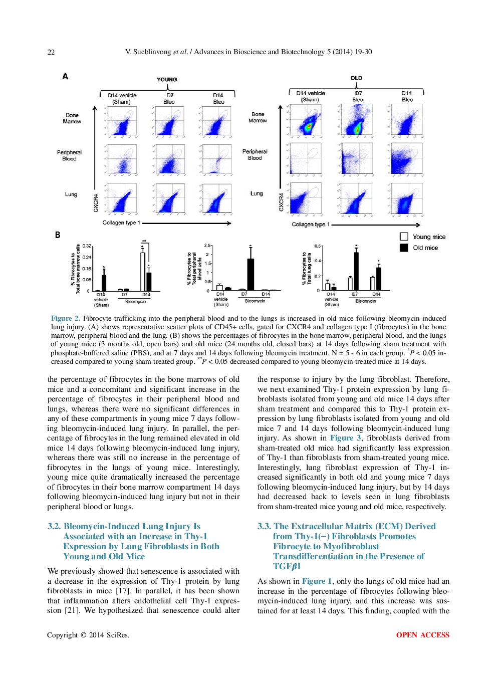 Aging Promotes Pro-Fibrotic Matrix Production And Increases Fibrocyte Recruitment During Acute Lung Injury - Page 5