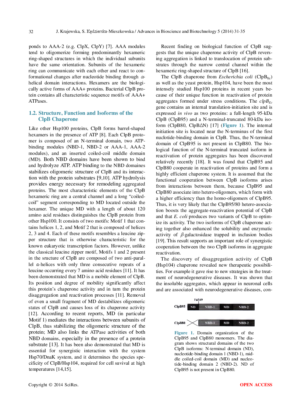 AAA+ ClpB Chaperone As A Potential Virulence Factor Of Pathogenic Microorganisms: Other Aspect Of Its Chaperone Function - Page 3