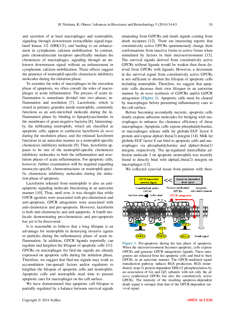 New Aspects Of The C5a Receptor - Page 3