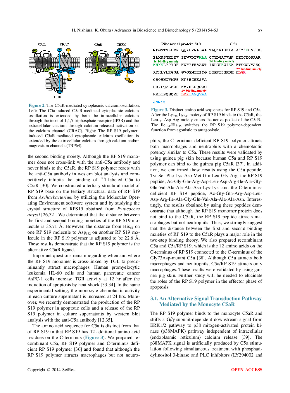 New Aspects Of The C5a Receptor - Page 5