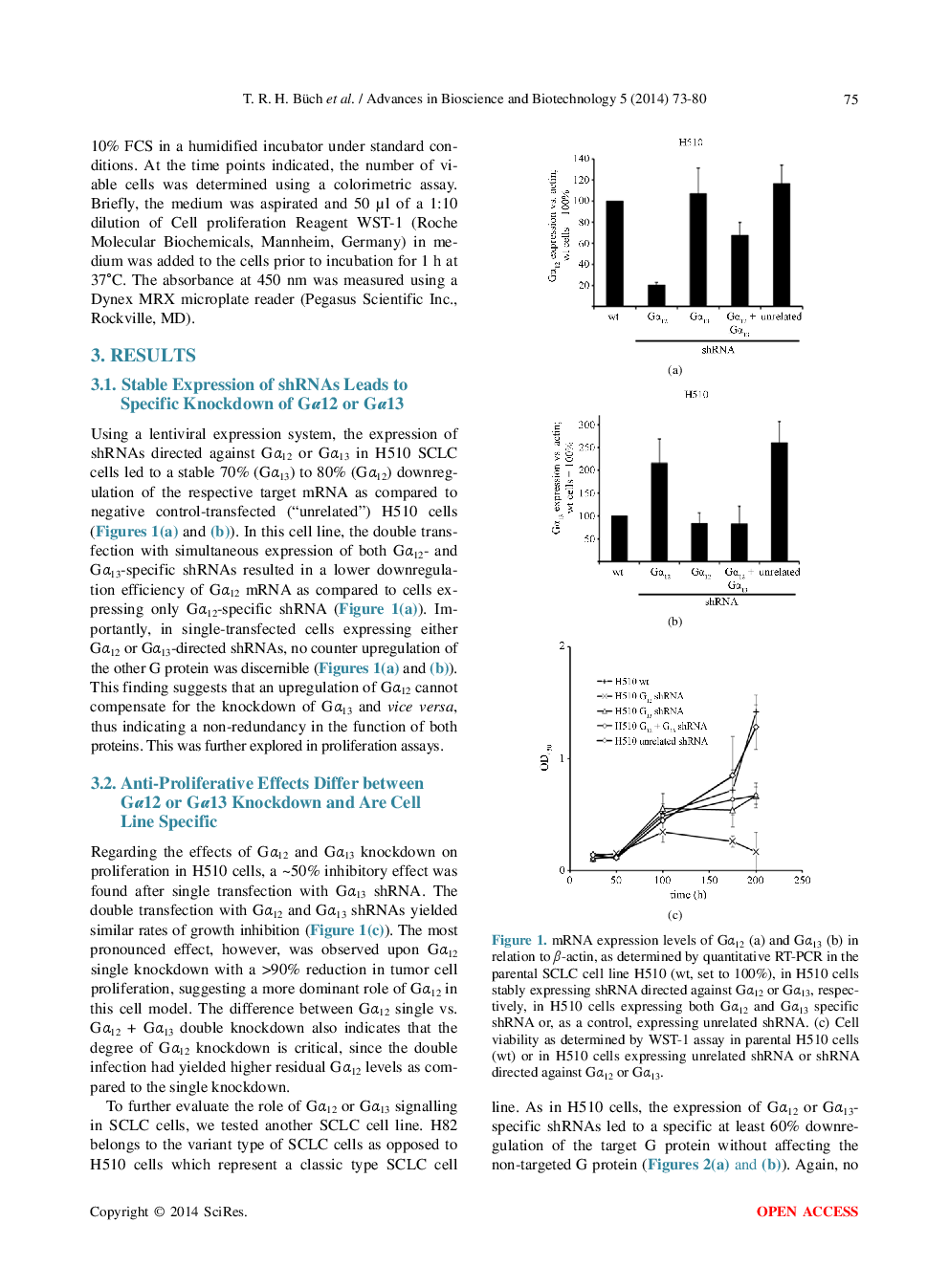 Cell-Type Specific And Non-Redundant Anti-Proliferative Effects Of ShRNA-Mediated Galpha12- And Galpha13 Knockdown In Lung Cancer Cell Lines - Page 4