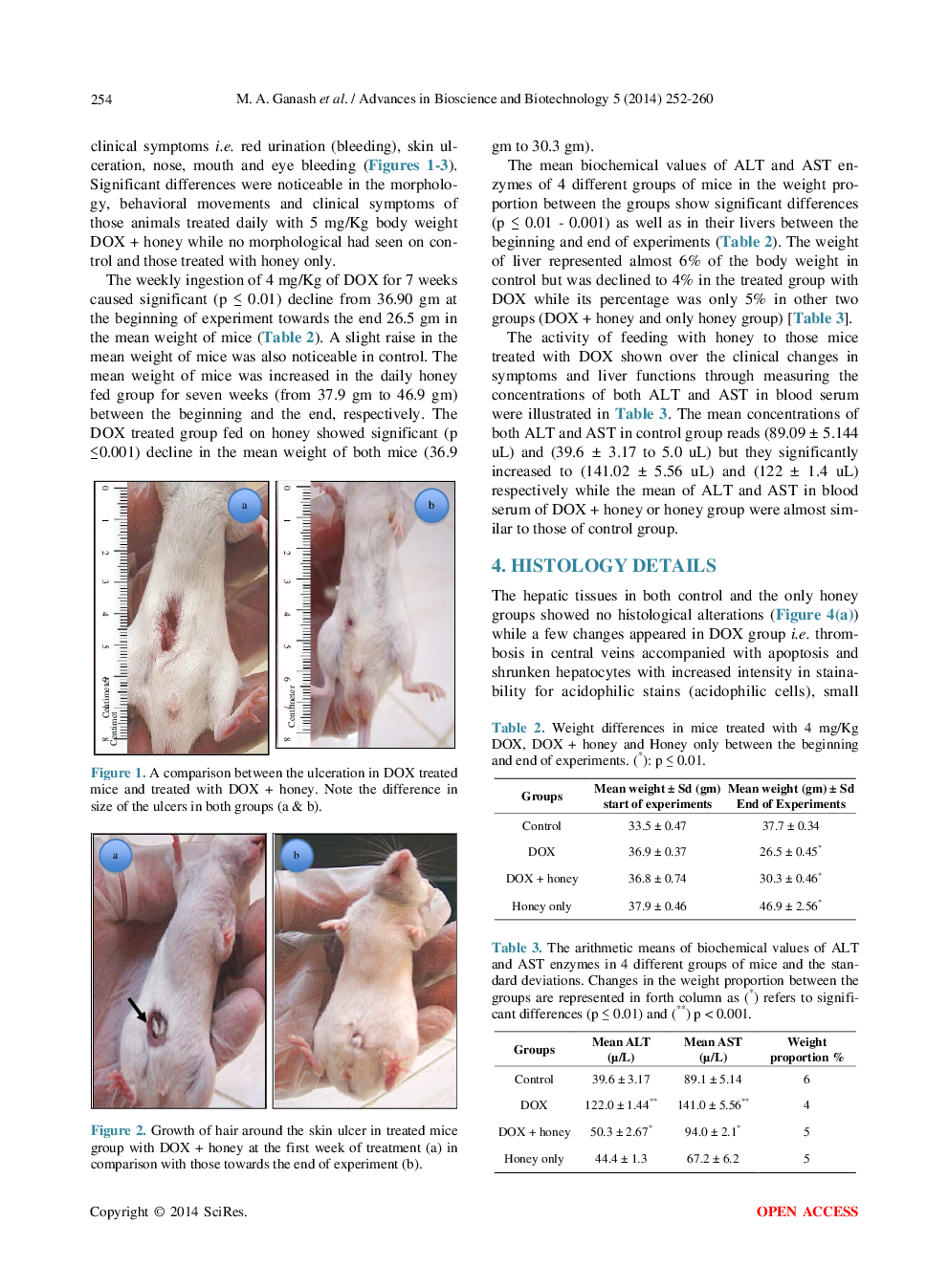 Cytoprotectivity Of The Natural Honey Against The Toxic Effects Of Doxorubicin In Mice - Page 4