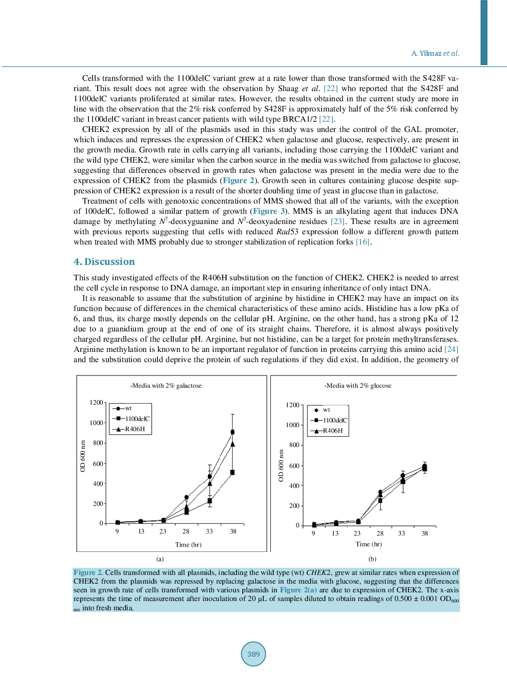 Effect Of The R406H Substitution On The Normal Function Of CHEK2 - Page 5