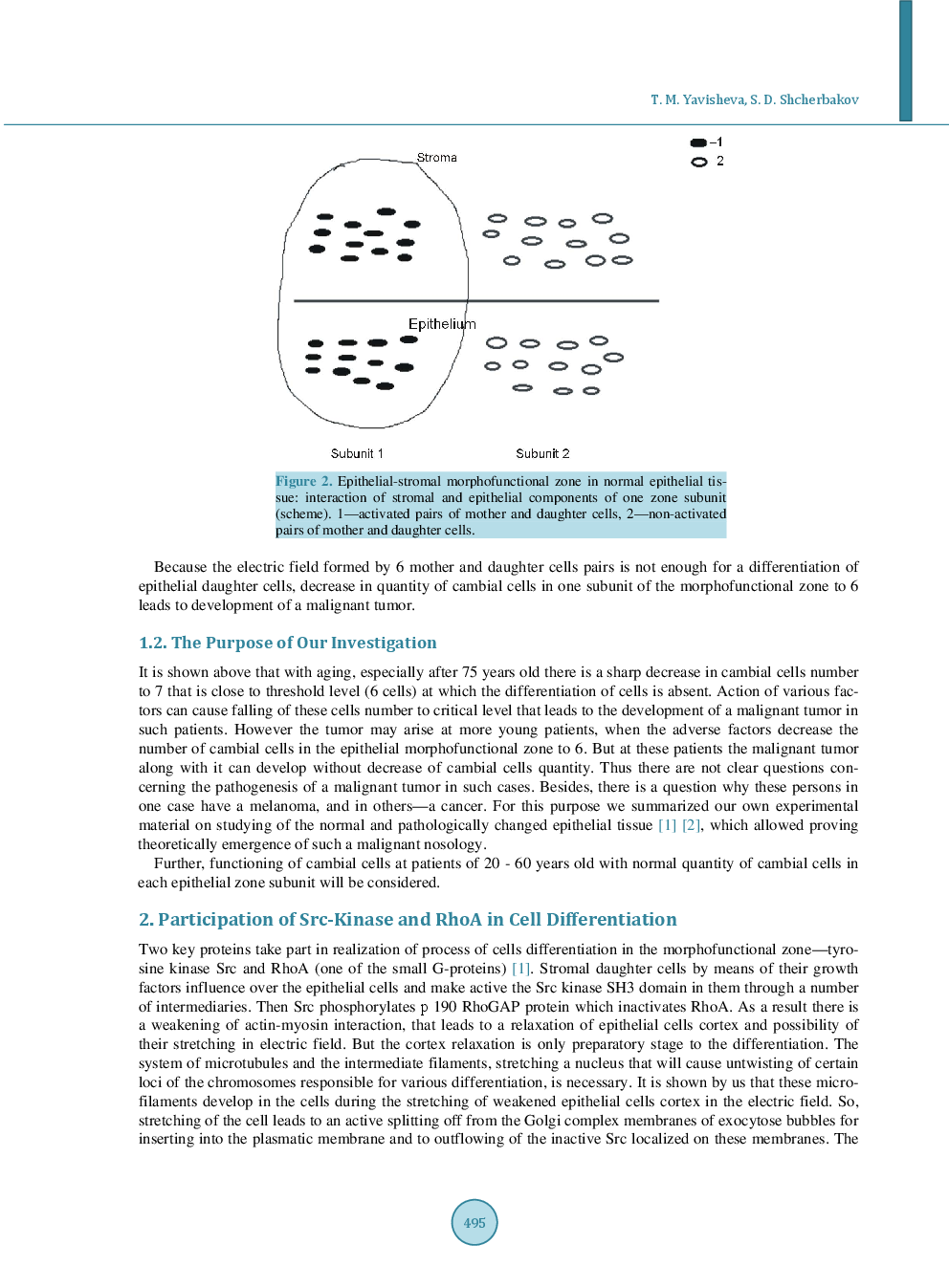 Development Of Melanoma And Cancer Without Decreasing Of Cambial Cells Number In Morphofunctional Zones - Page 4