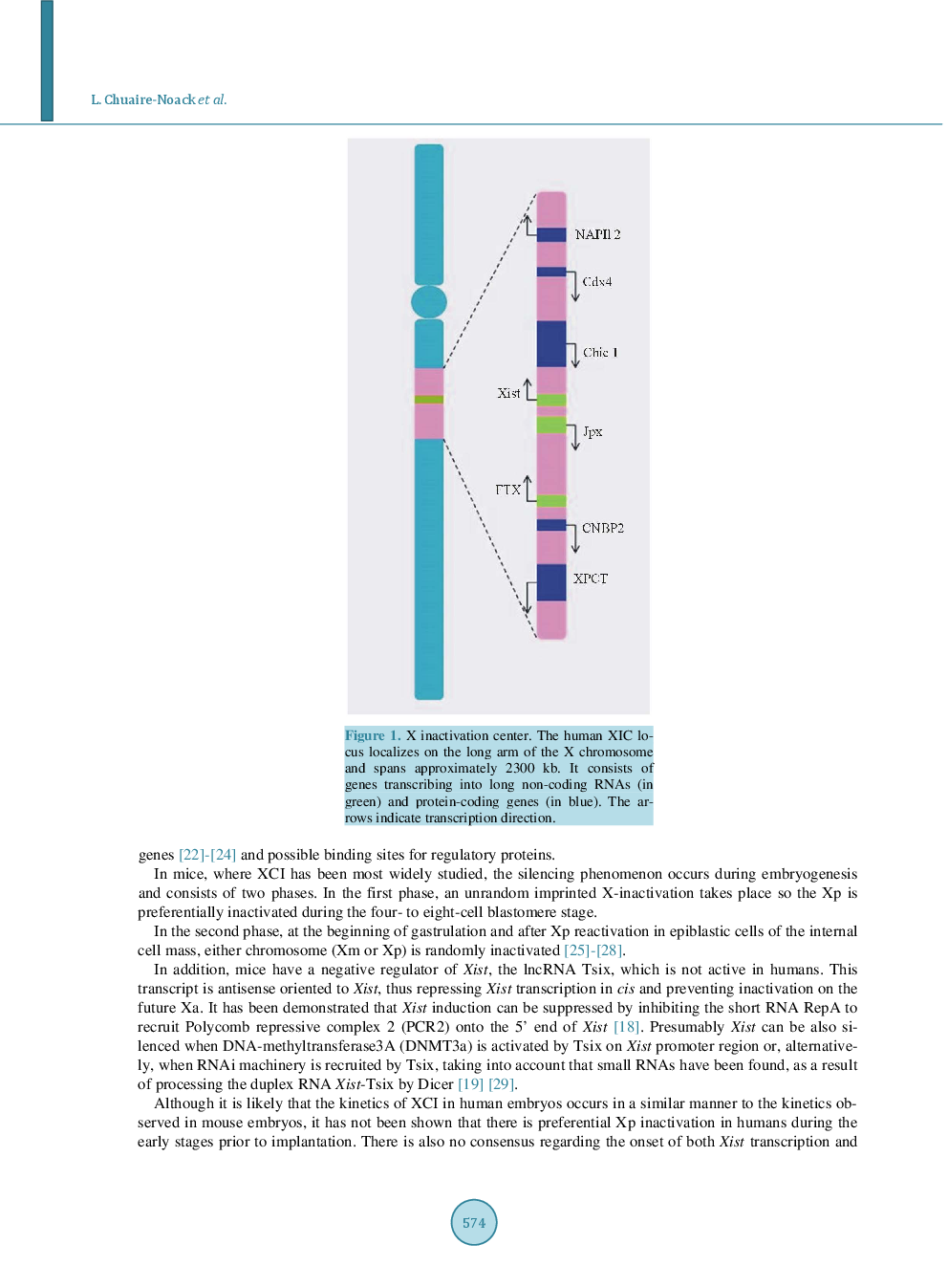 Revisiting The X-Chromosome Inactivation And Its Impact On Female Longevity - Page 4