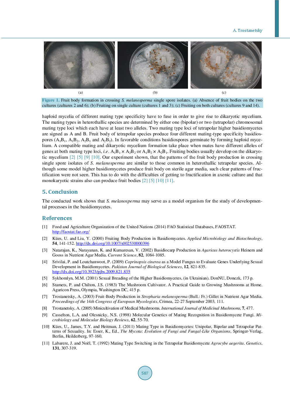 Basidiocarp Production Of Stropharia Melanosperma (Bull.) Gillet In Nutrient Agar Media - Page 4