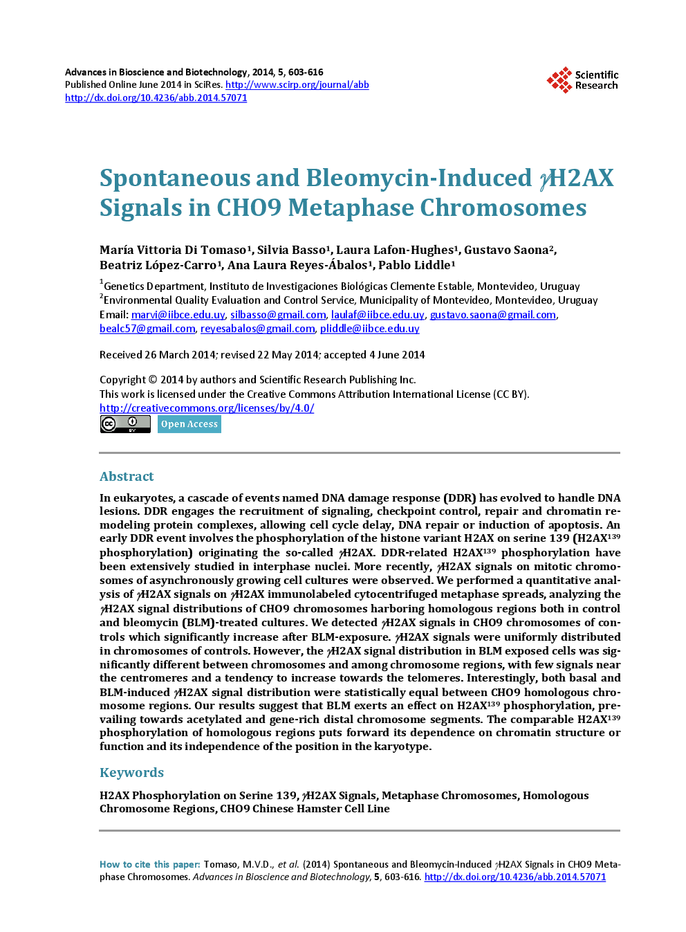 Spontaneous And Bleomycin-Induced γH2AX Signals In CHO9 Metaphase Chromosomes - Page 2