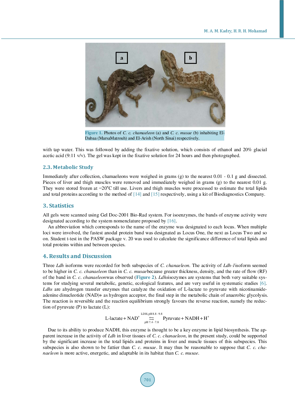 Genetic And Metabolic Variability Between Two Subspecies Of Chamaeleo Chamaeleon (Reptilia: Chamaeleonidae) In Egypt - Page 4