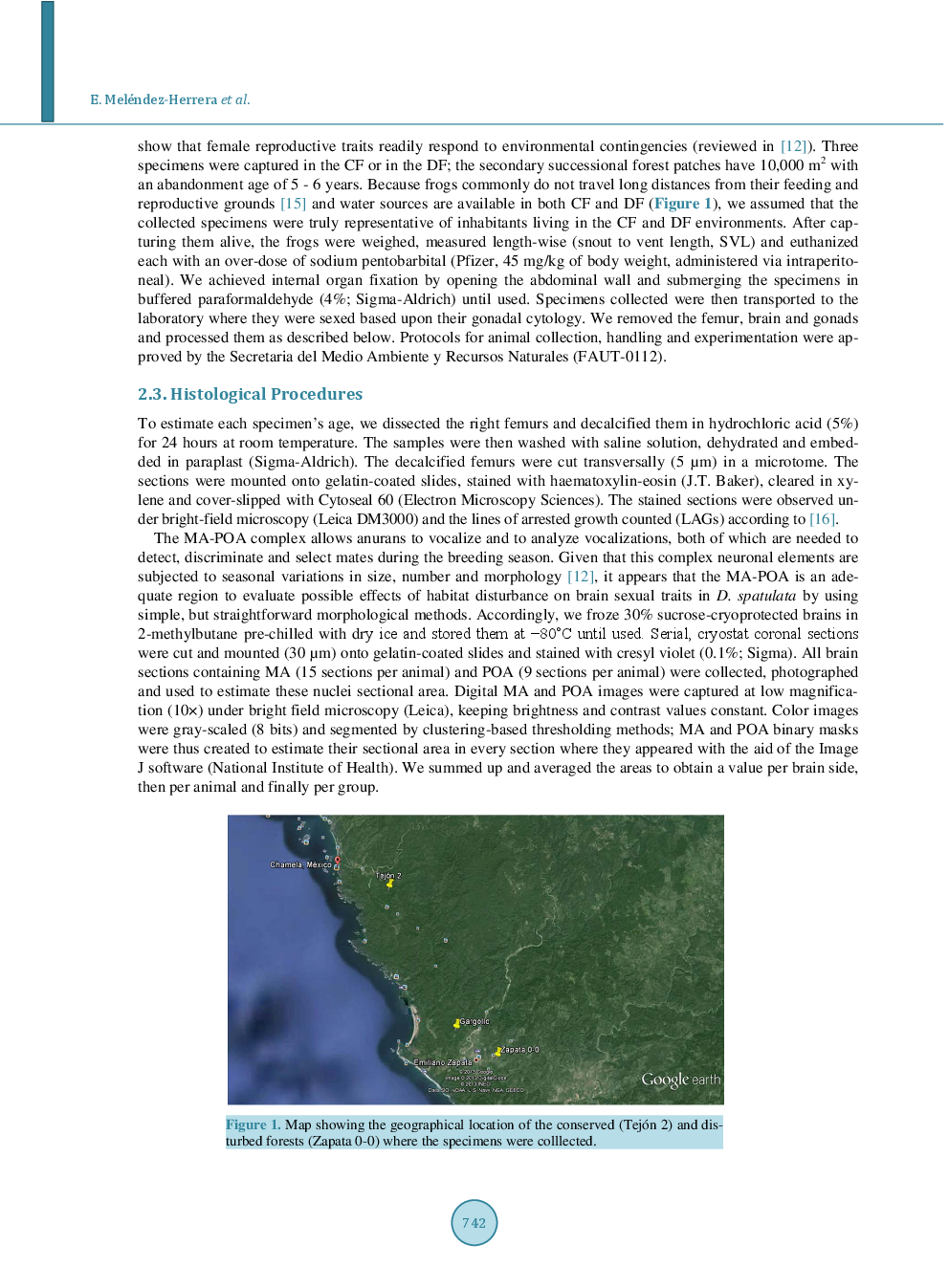 Studying Some Brain And Ovarian Morphological Traits In Diaglena Spatulata Female Frogs Thriving In Conserved And Perturbed Habitats: A Preliminary Report And Its Implications For Amphibian Survival And Continuity - Page 4