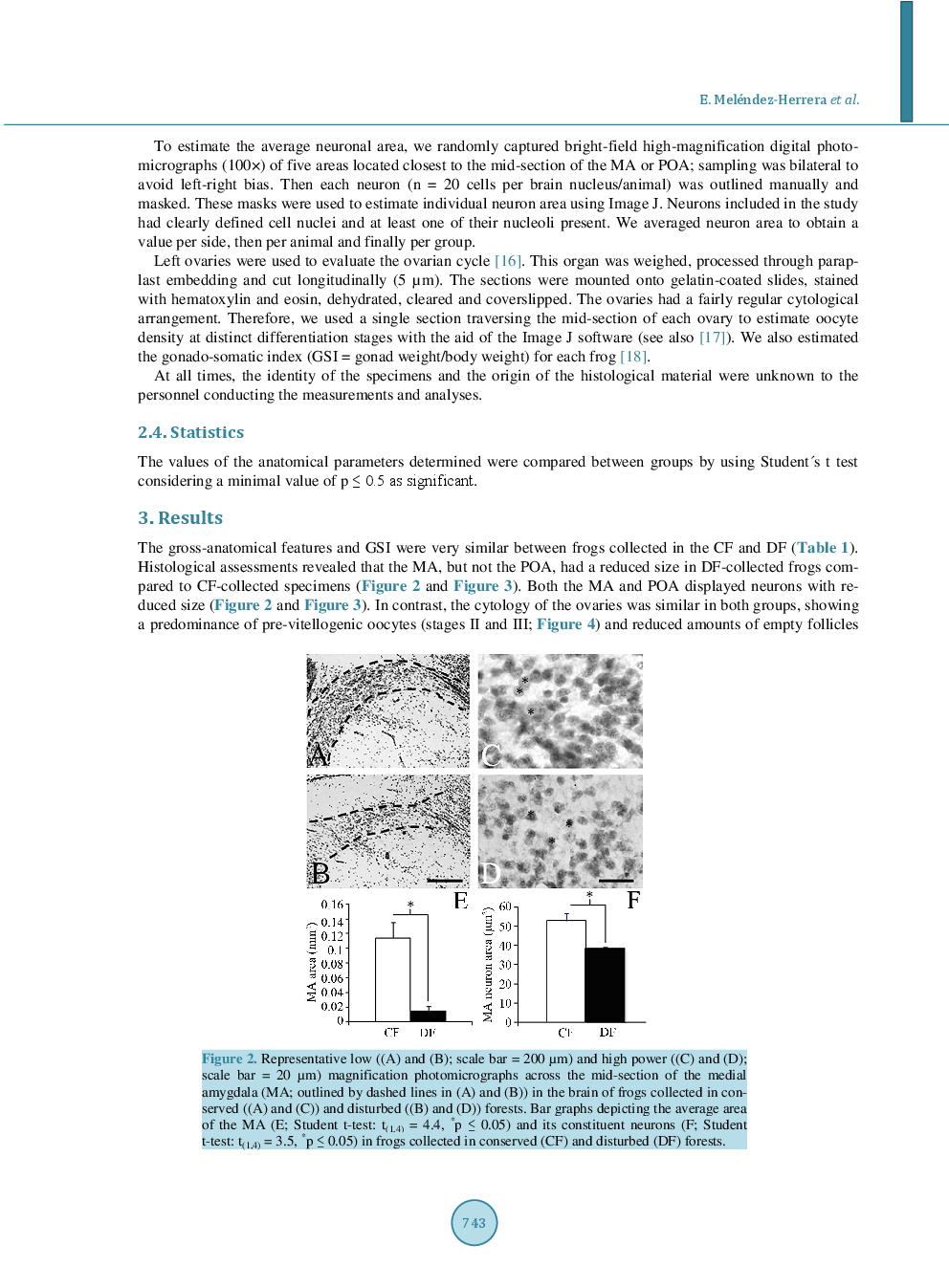 Studying Some Brain And Ovarian Morphological Traits In Diaglena Spatulata Female Frogs Thriving In Conserved And Perturbed Habitats: A Preliminary Report And Its Implications For Amphibian Survival And Continuity - Page 5