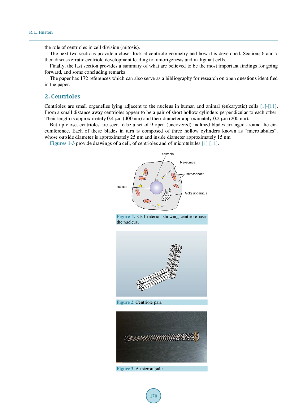A Review Of Centriole Activity, And Wrongful Activity, During Cell Division - Page 3