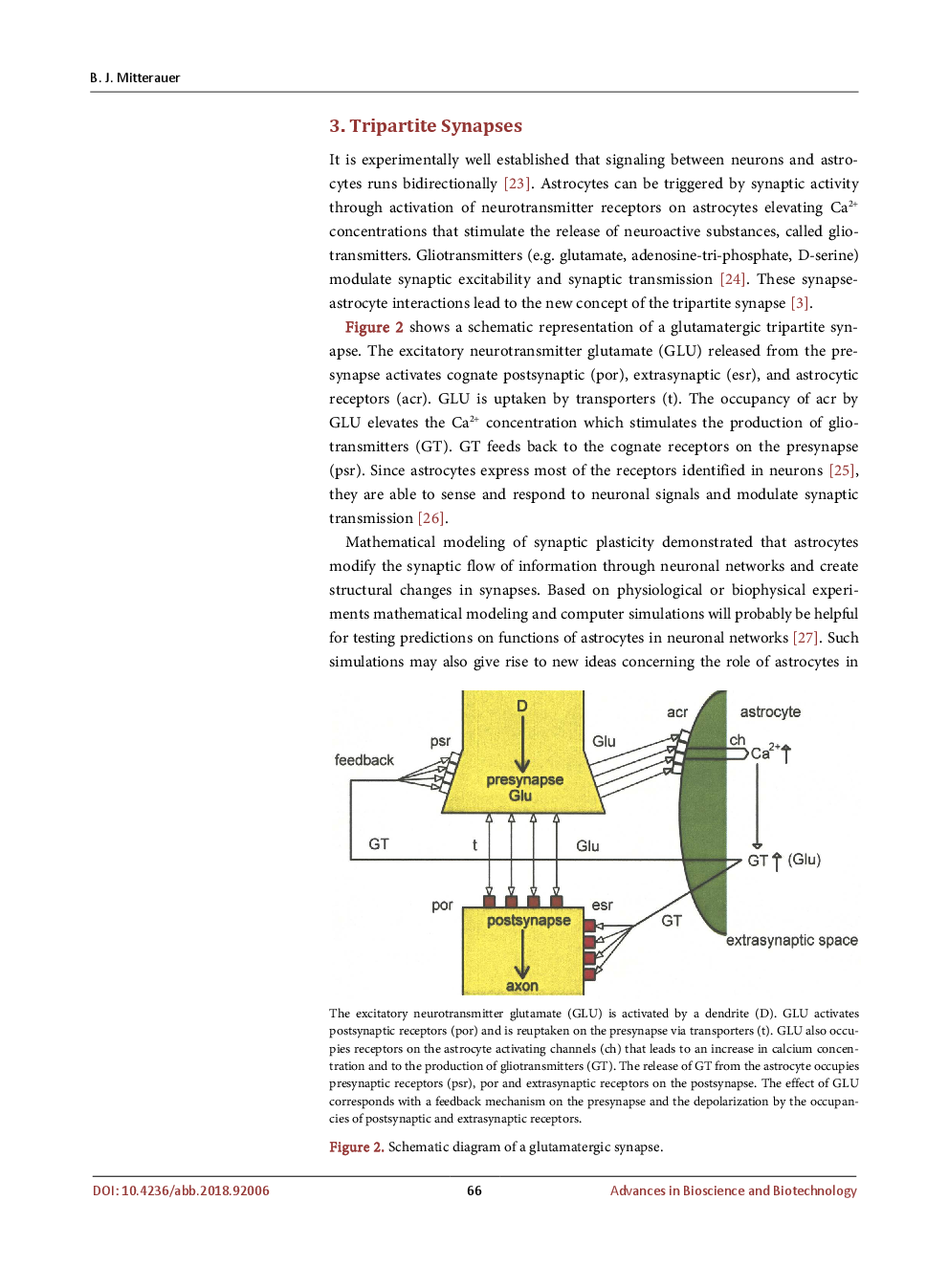Astrocyte-Synapse Receptor Coupling In Tripartite Synapses: A Mechanism For Self-Observing Robots - Page 5
