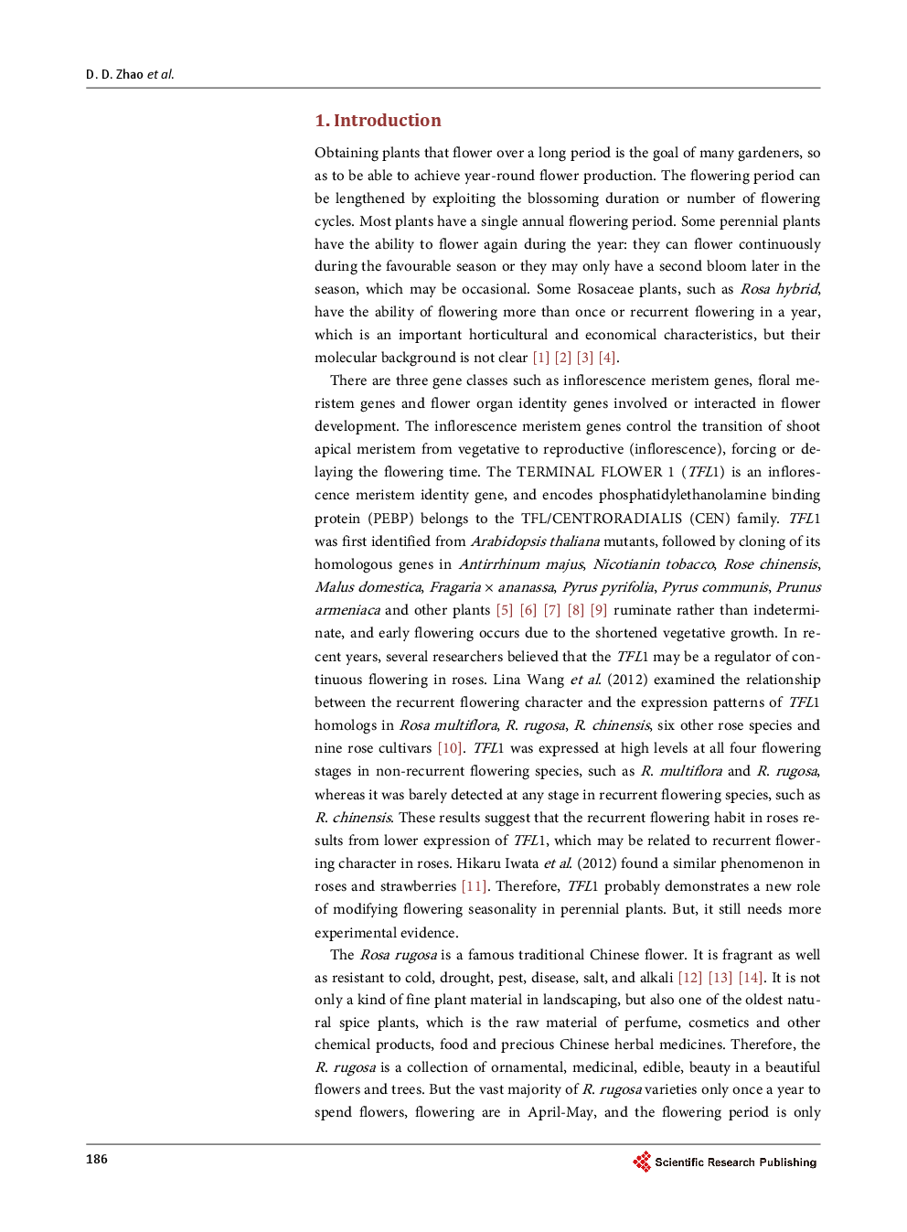 Cloning And Bioinformatics Analysis Of Rosa Rugosa TFL1 Gene (RrTFL1) - Page 3