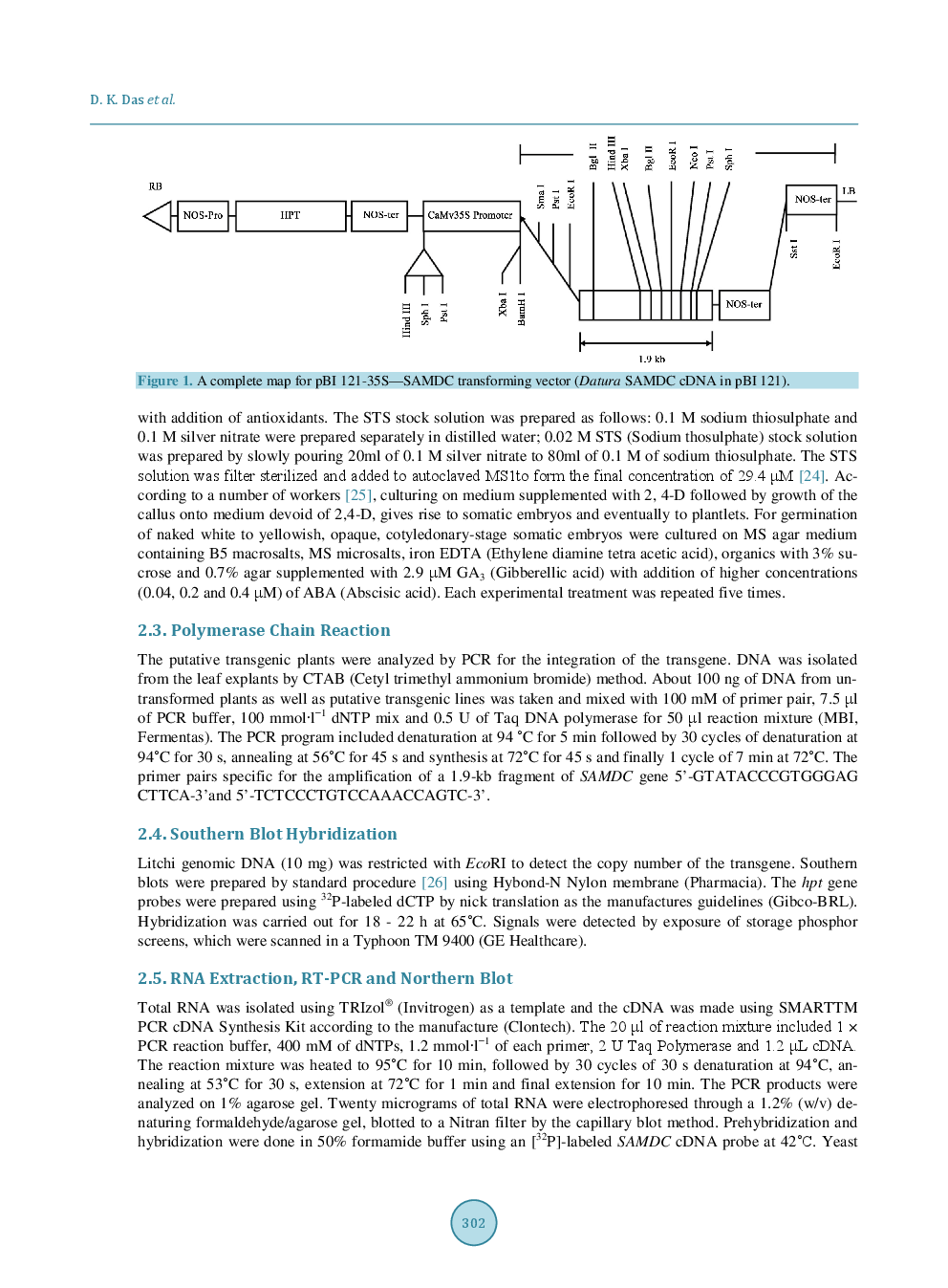 Expression Of SAMDC Gene For Enhancing The Shelf Life For Improvement Of Fruit Quality Using Biotechnological Approaches Into Litchi (Litchi Chinensis Sonn.) Cultivars - Page 4