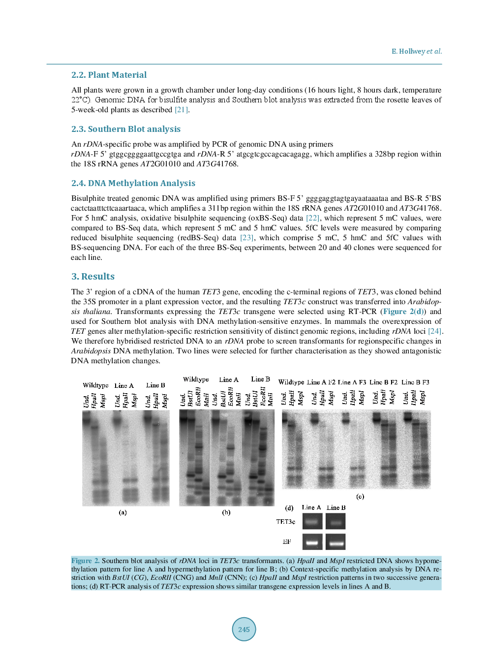Expression Of The C-Terminal Domain Of Mammalian TET3 DNA Dioxygenase In Arabidopsis Thaliana Induces Heritable Methylation Changes At rDNA Loci - Page 4