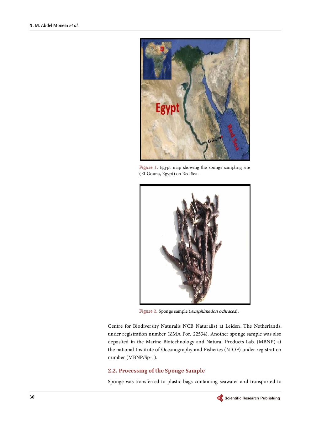 Hepatoprotective Activity Of Chitosan Nanocarriers Loaded With The Ethyl Acetate Extract Of A Stenotrophomonas Sp. Bacteria Associated With The Red Sea Sponge Amphimedon Ochracea In CCl4 Induced Hepatotoxicty In Rats - Page 5