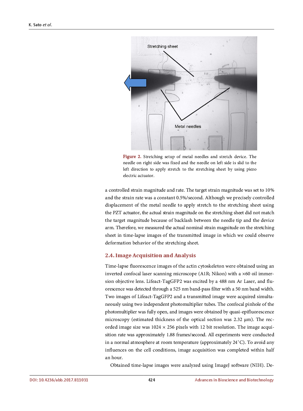 In Situ Observation And Measurement Of Actin Stress Fiber Deformation In Stretched Osteoblast like Cell - Page 5