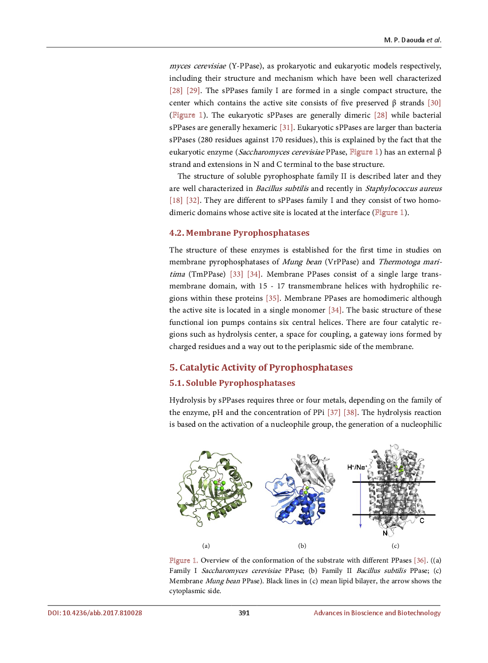 Inorganic Pyrophosphatases: Study Of Interest - Page 5