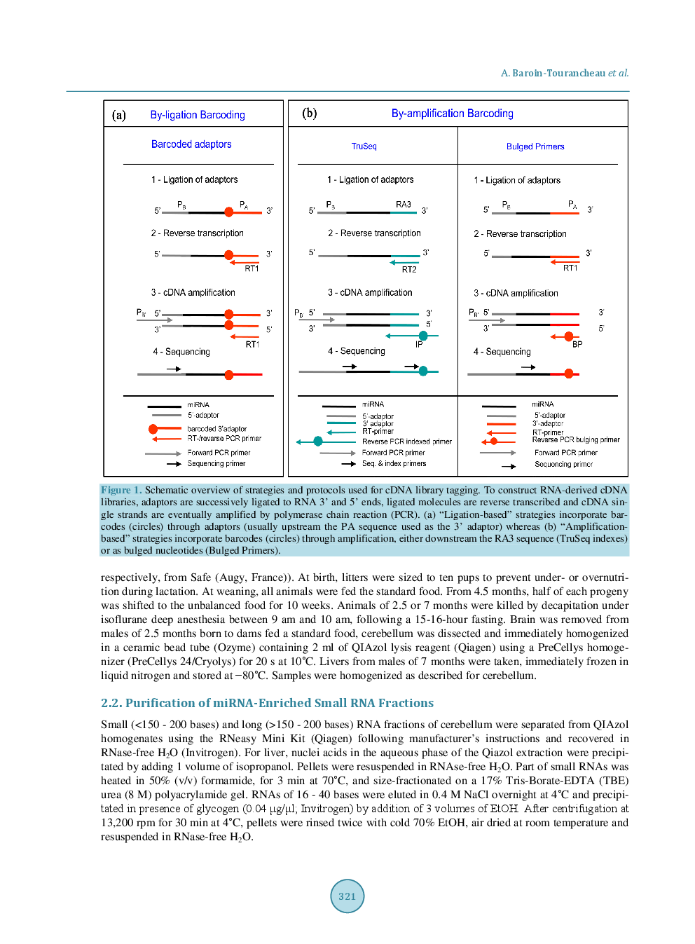 Lessons From MicroRNA Sequencing Using Illumina Technology - Page 4