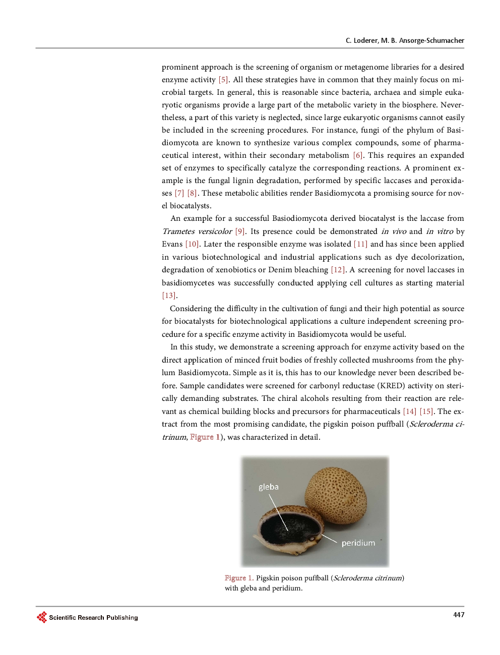 Magic Mushrooms: Screening For Novel Biocatalysts In The Phylum Basidiomycota - Page 3