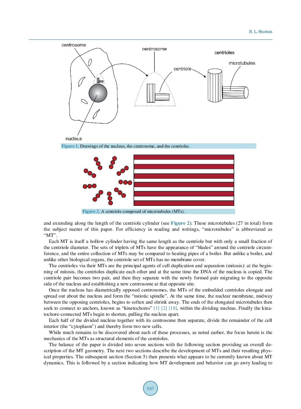 Mechanics Of Centriole Microtubules - Page 3