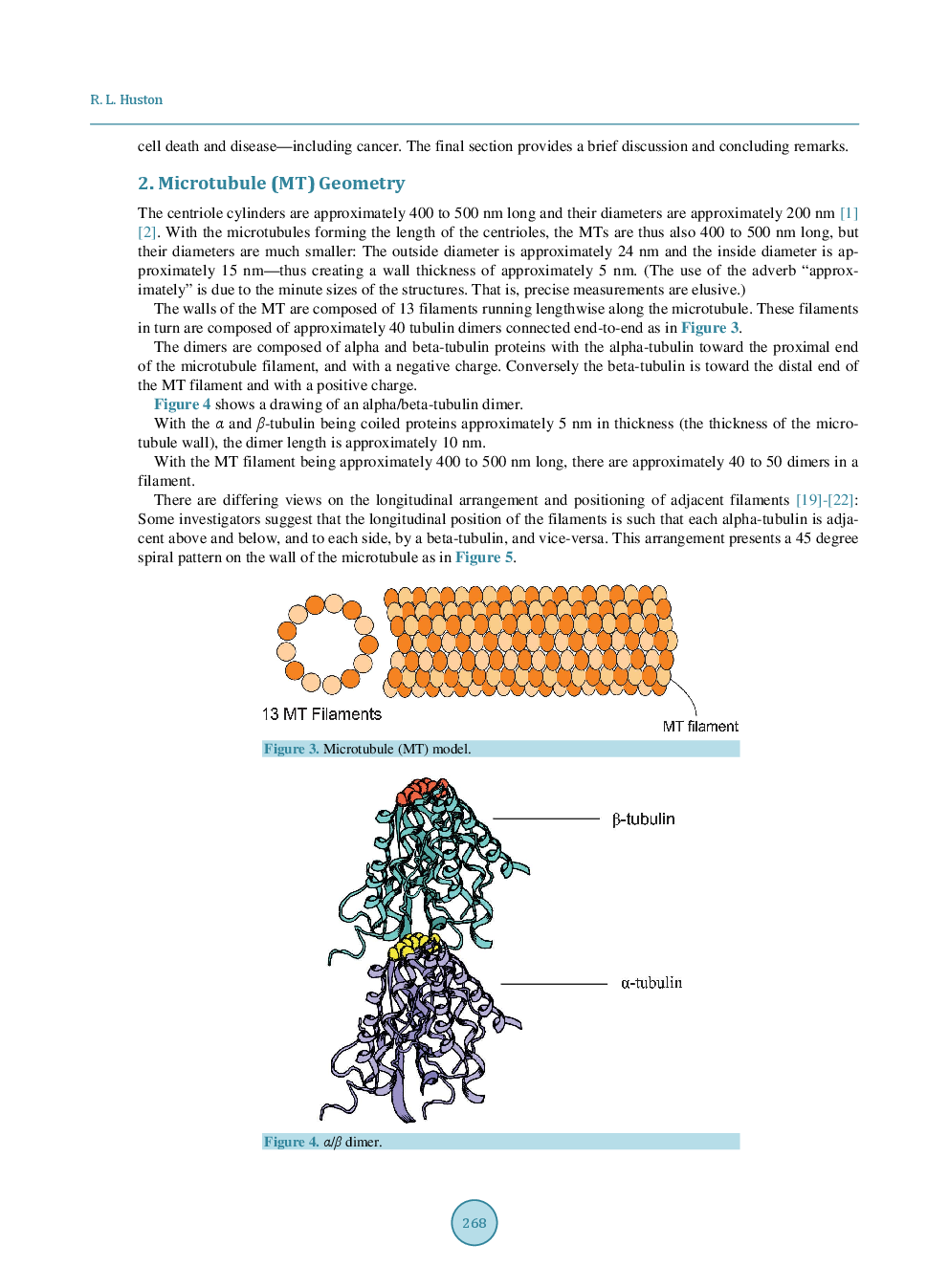 Mechanics Of Centriole Microtubules - Page 4