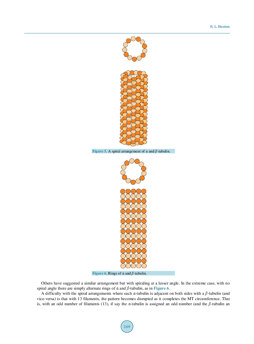 Mechanics Of Centriole Microtubules - Page 5