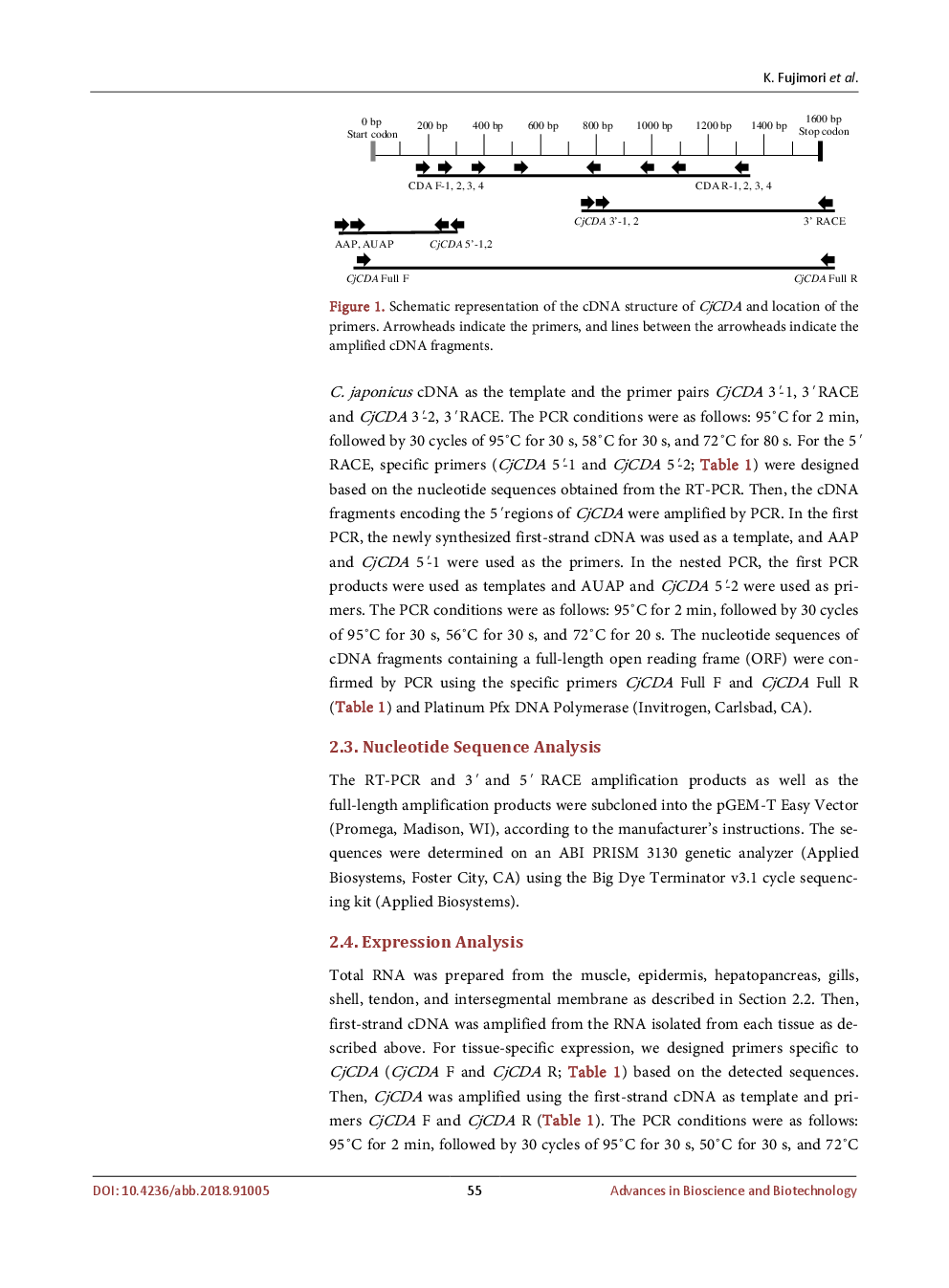 Molecular Cloning And Phylogenetic Analysis Of A Chitin Deacetylase Isolated From The Epidermis Of The Red Snow Crab Chionoecetes Japonicus - Page 5